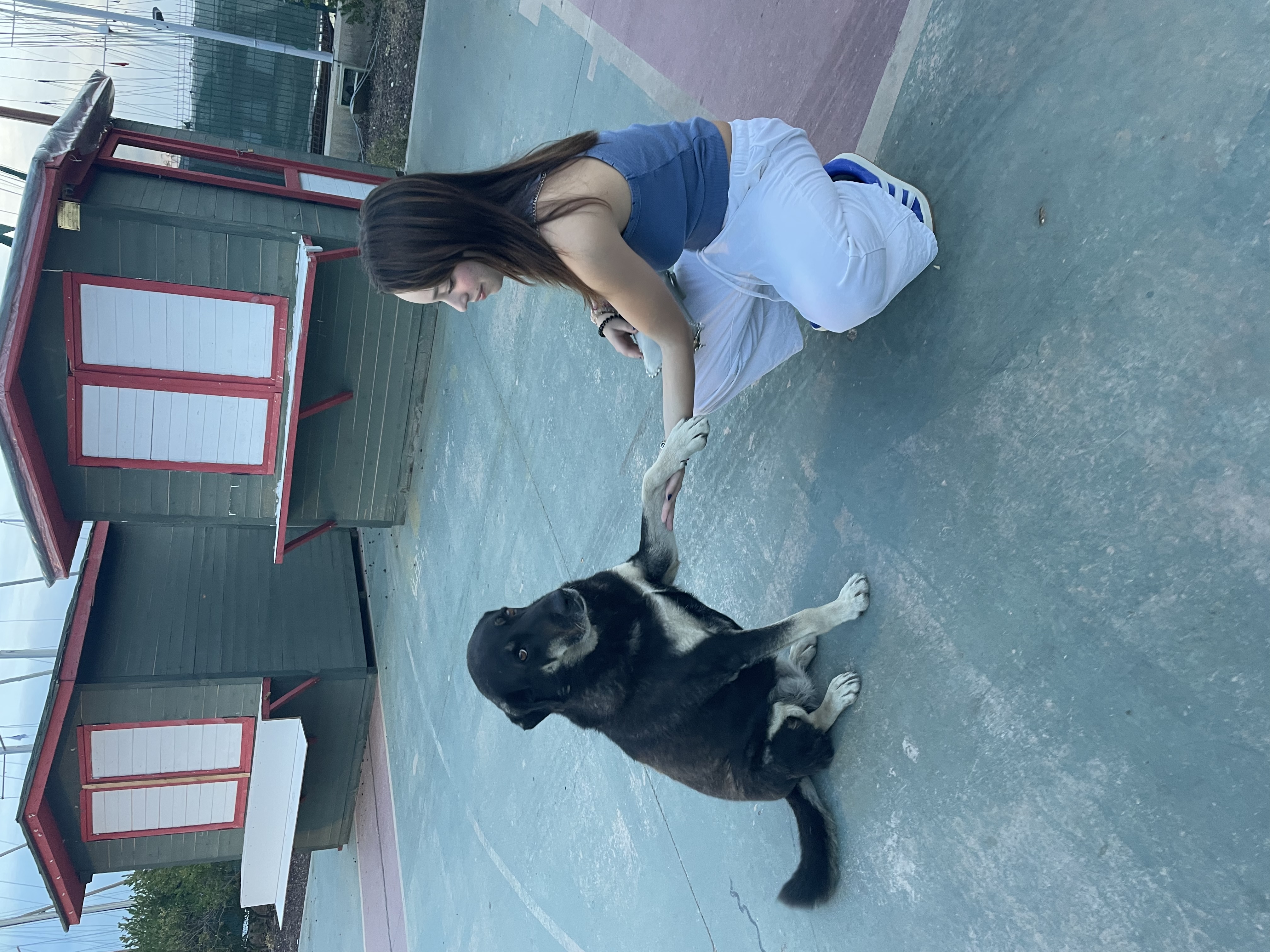 image-8