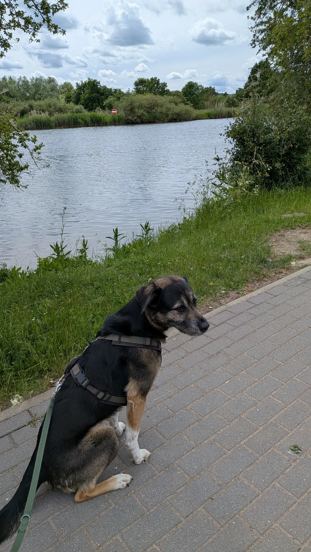 image-9