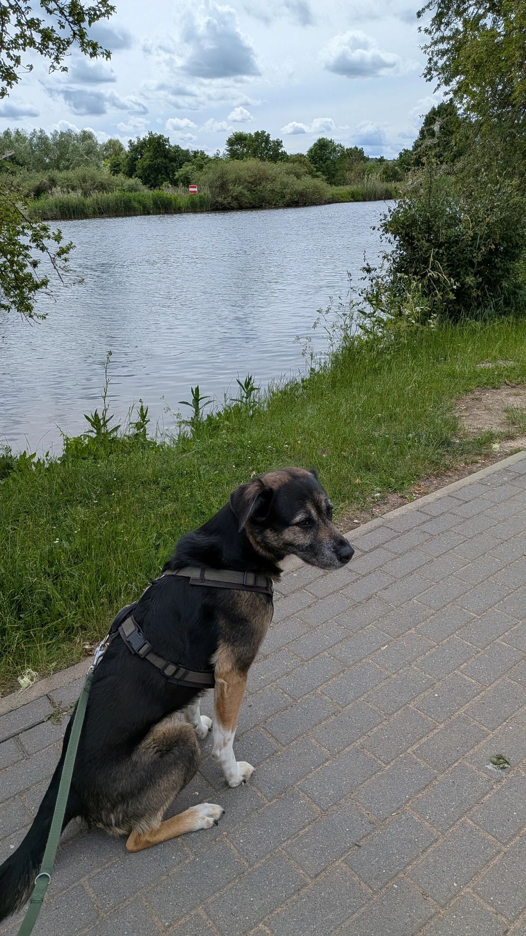 image-9