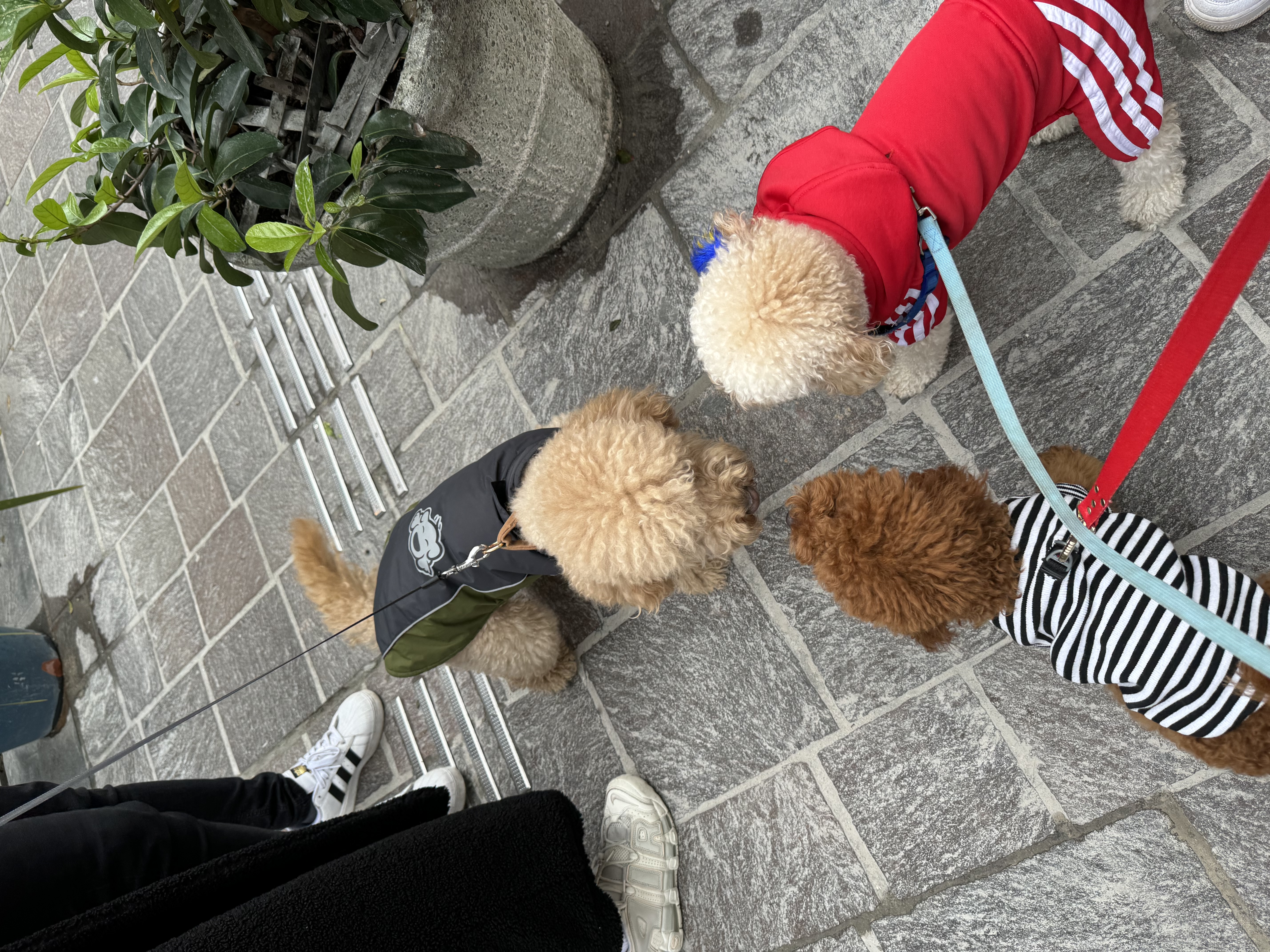 image-9