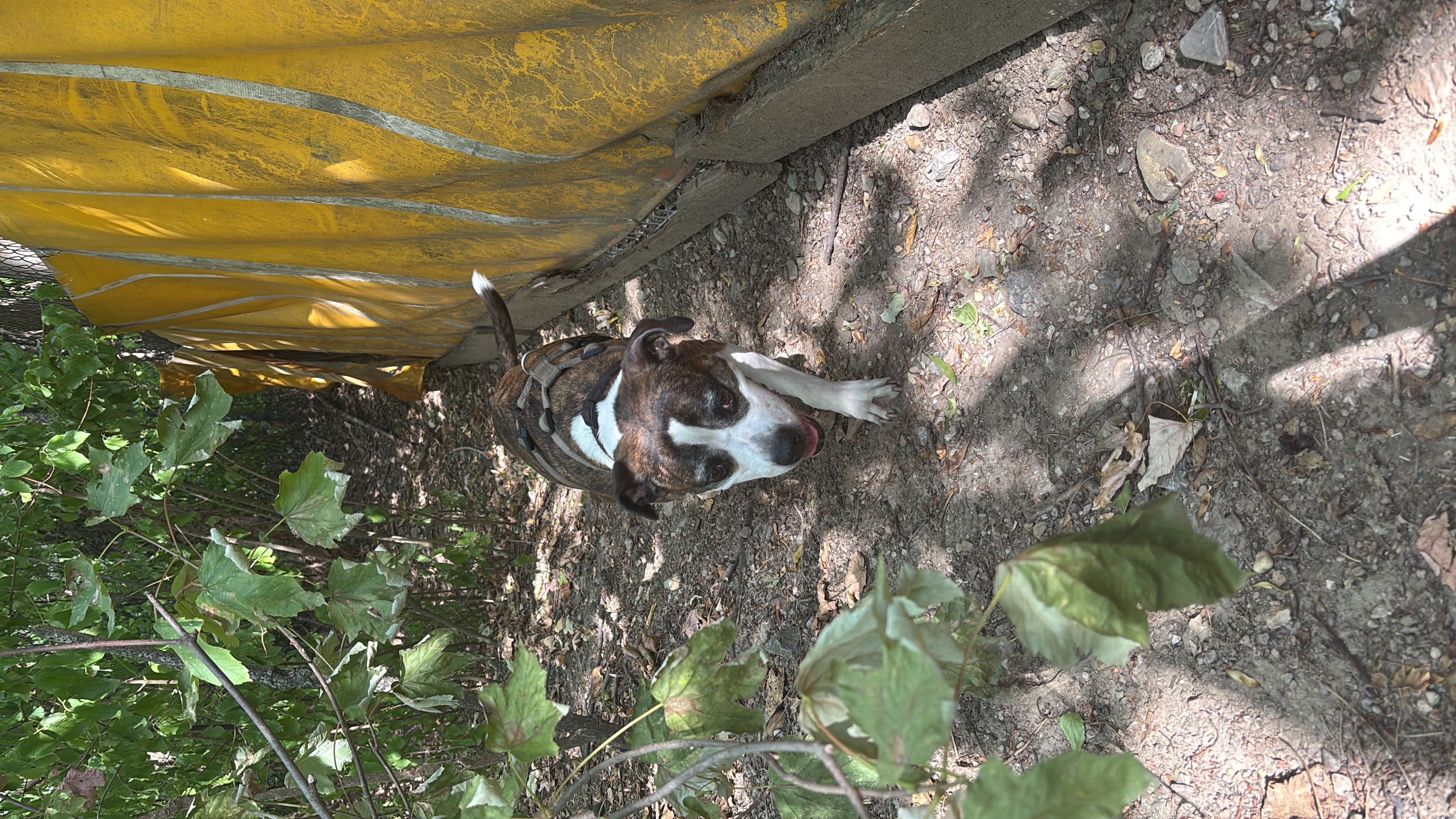image-7