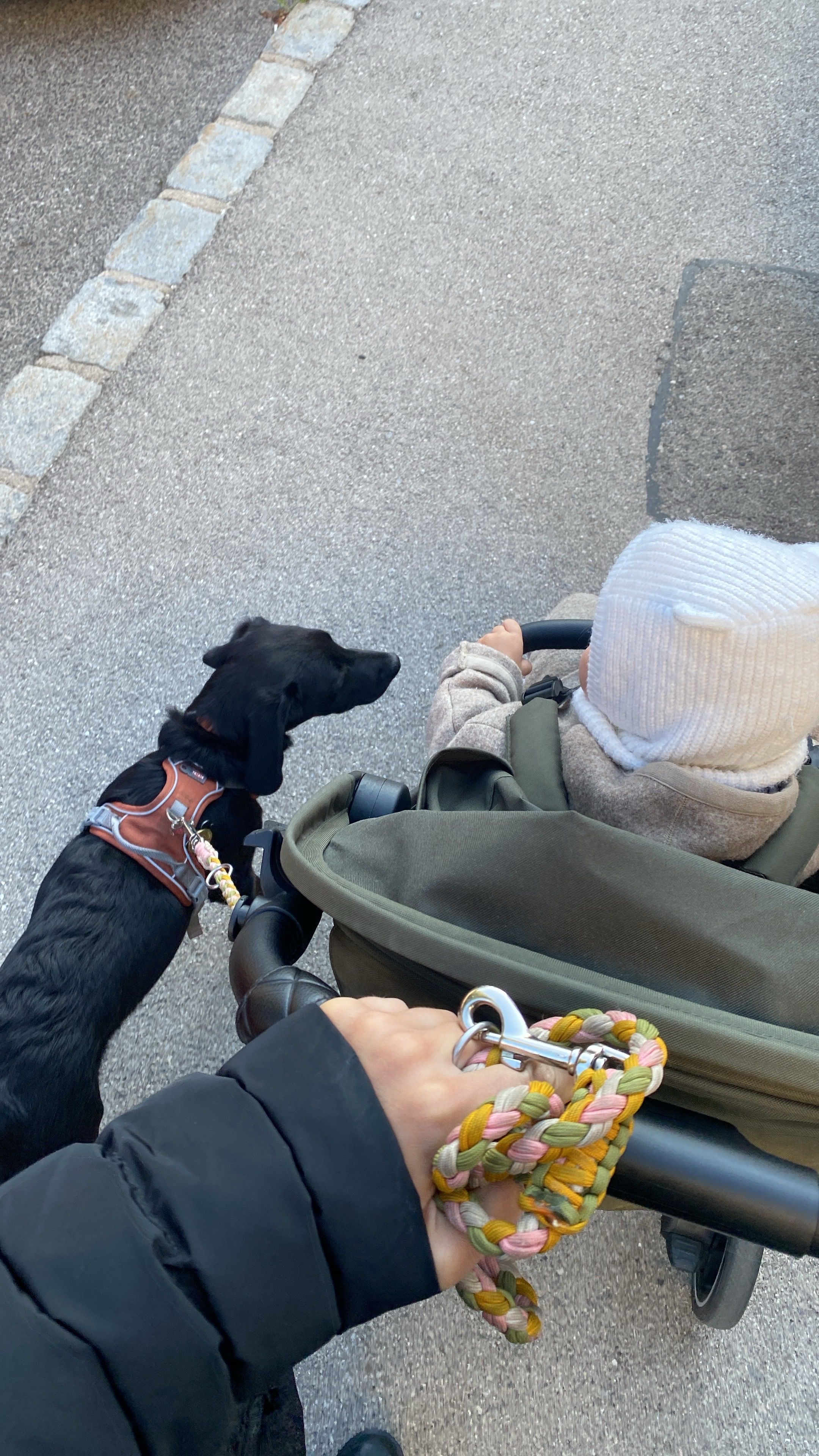 image-11