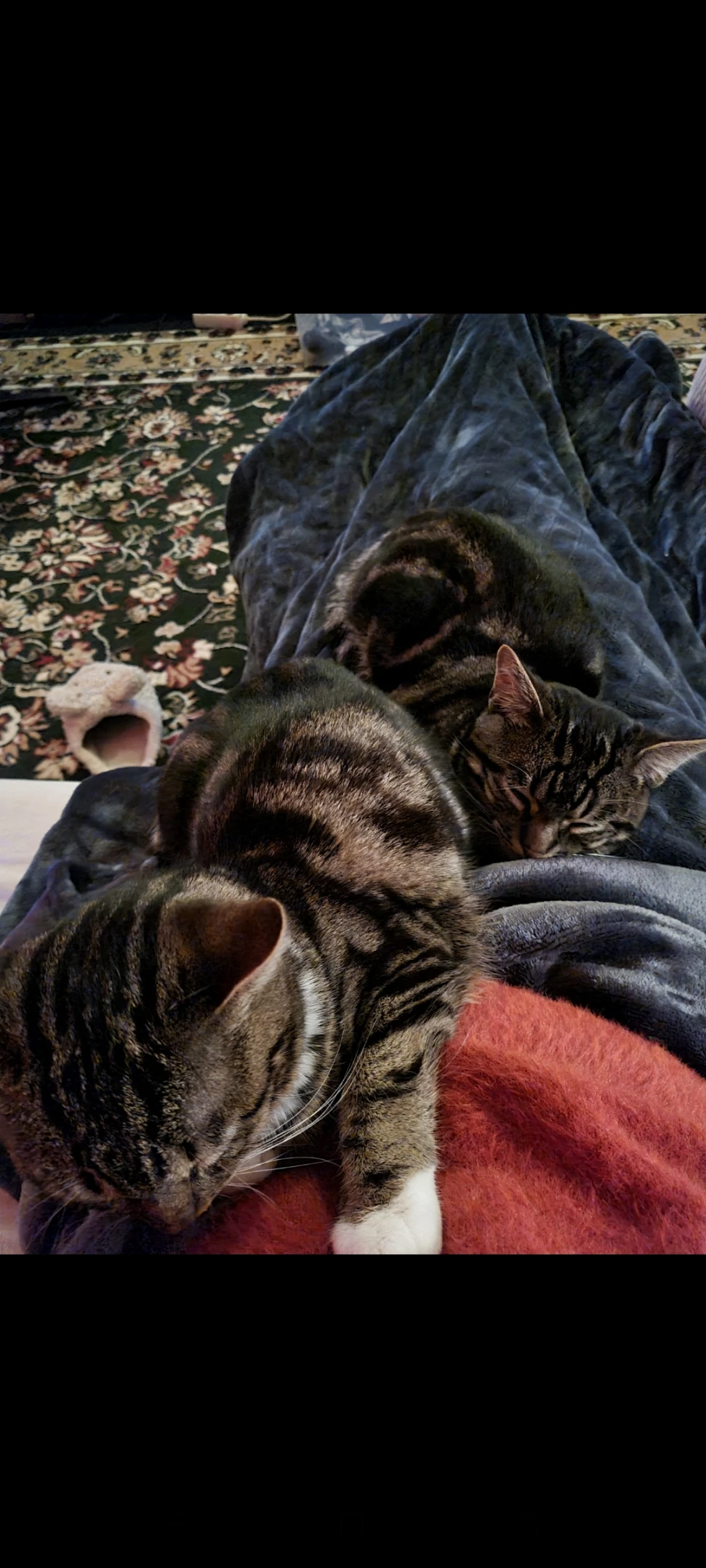 image-8