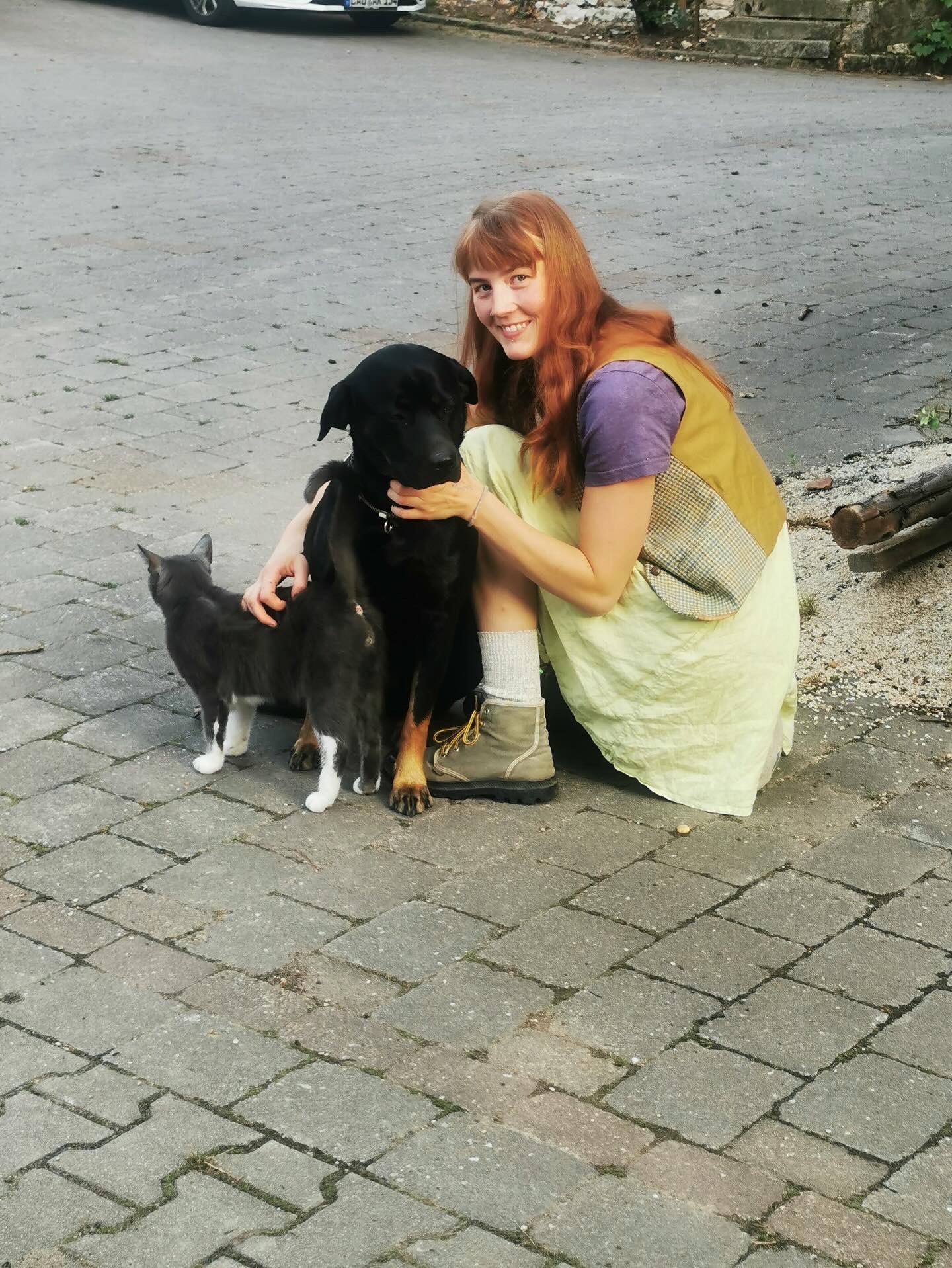 image-11