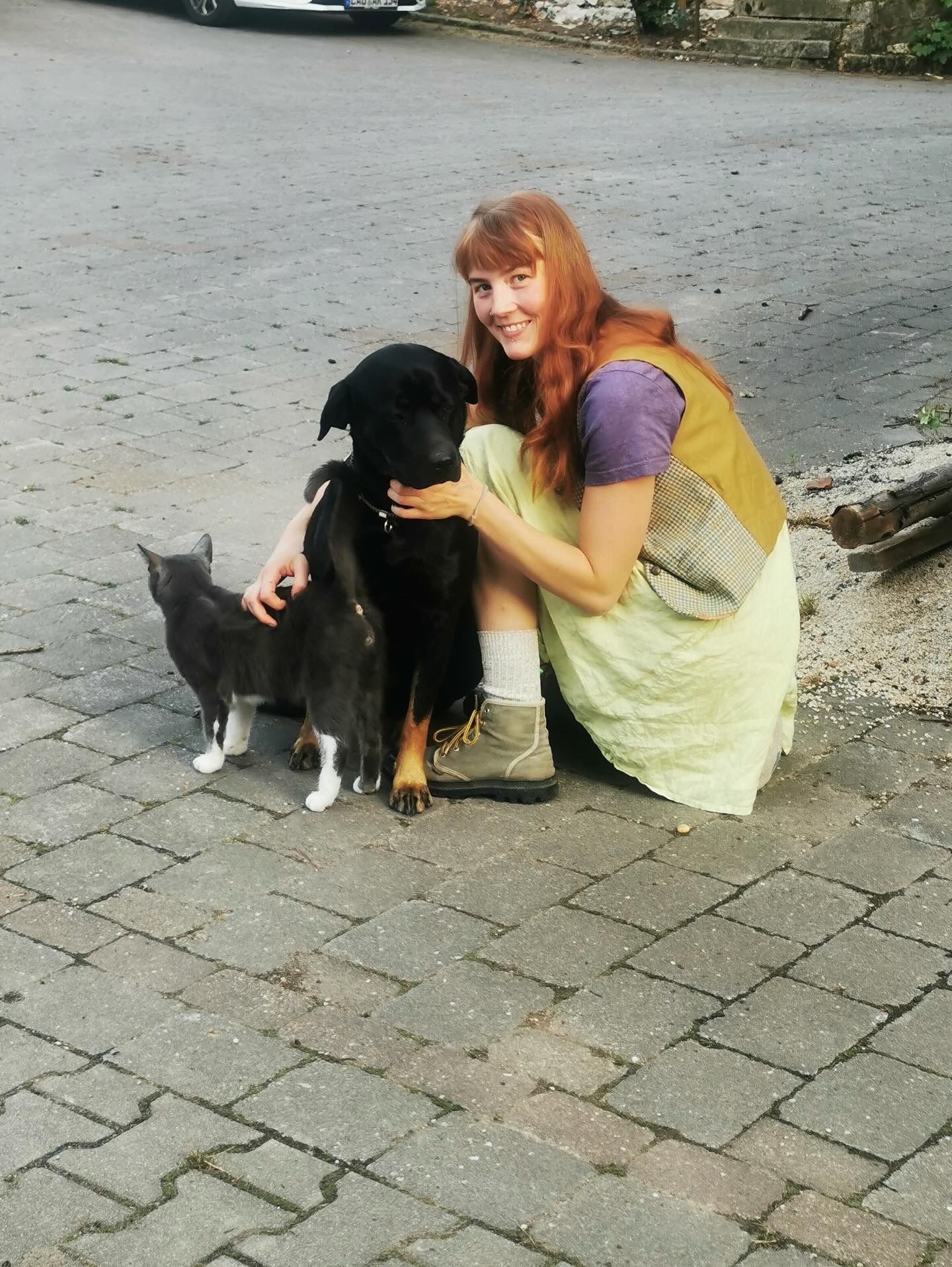 image-11