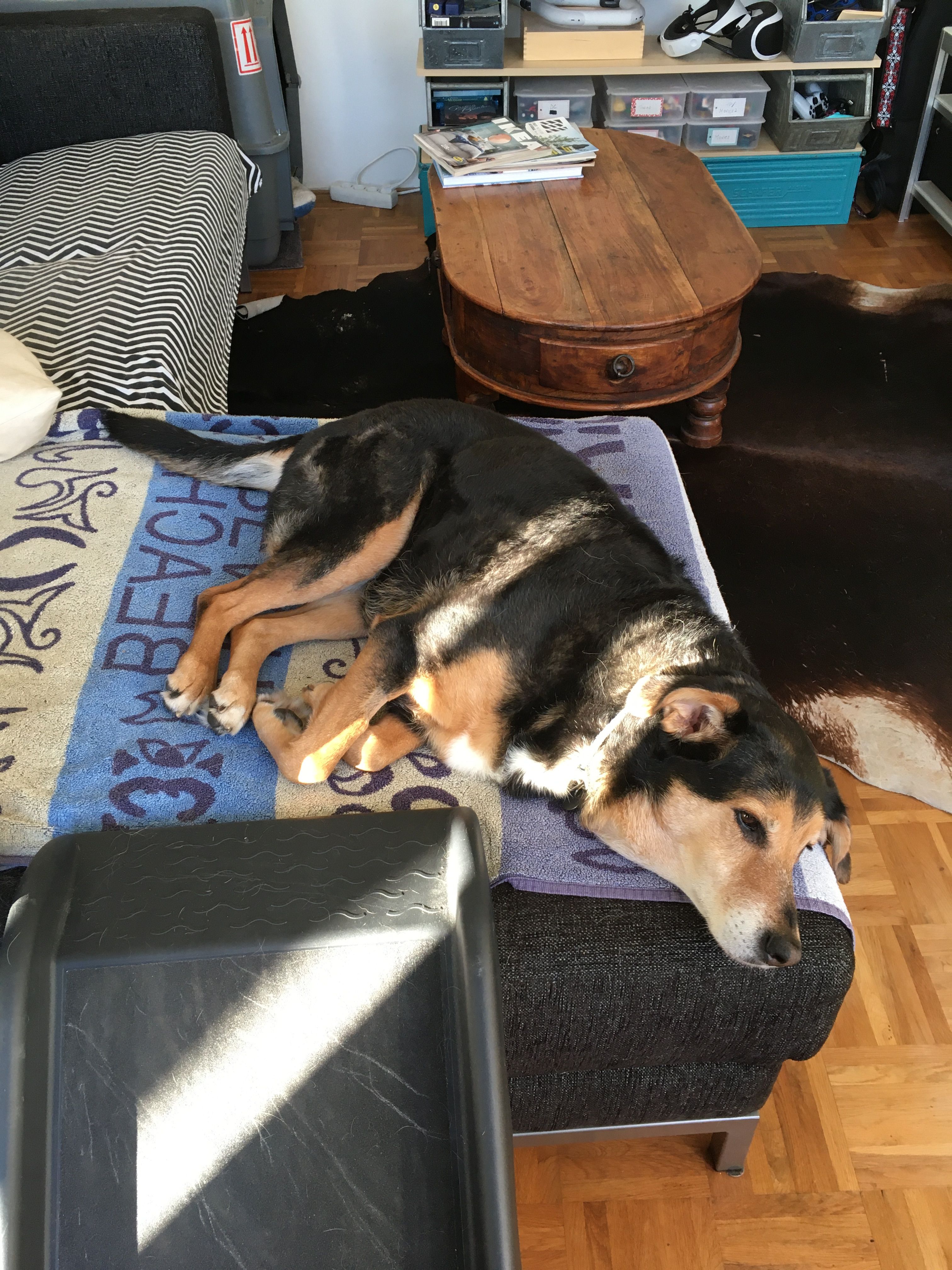 image-7