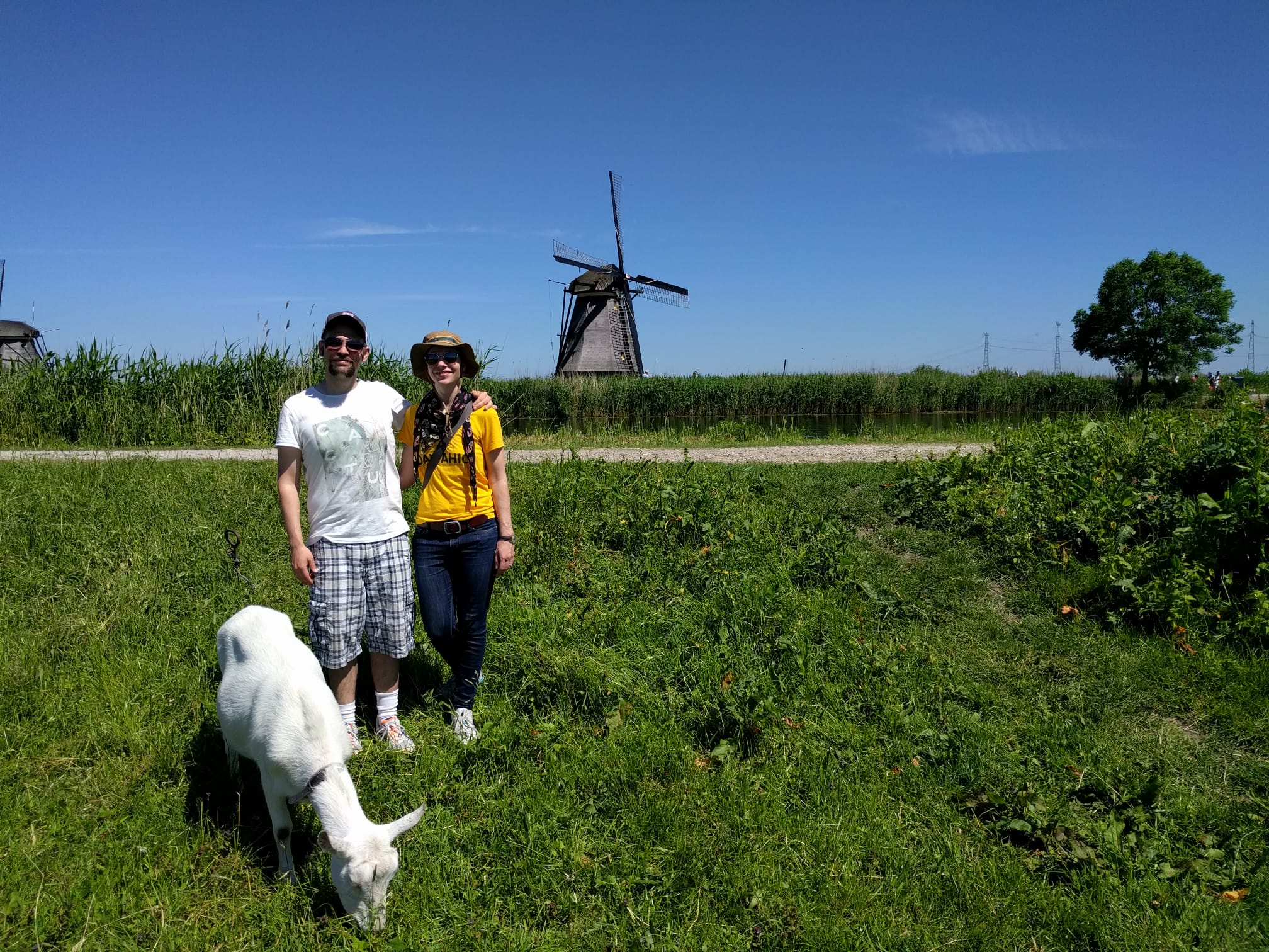 image-17