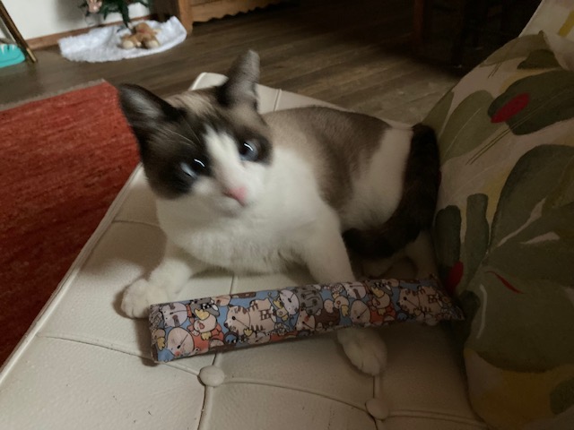 image-8