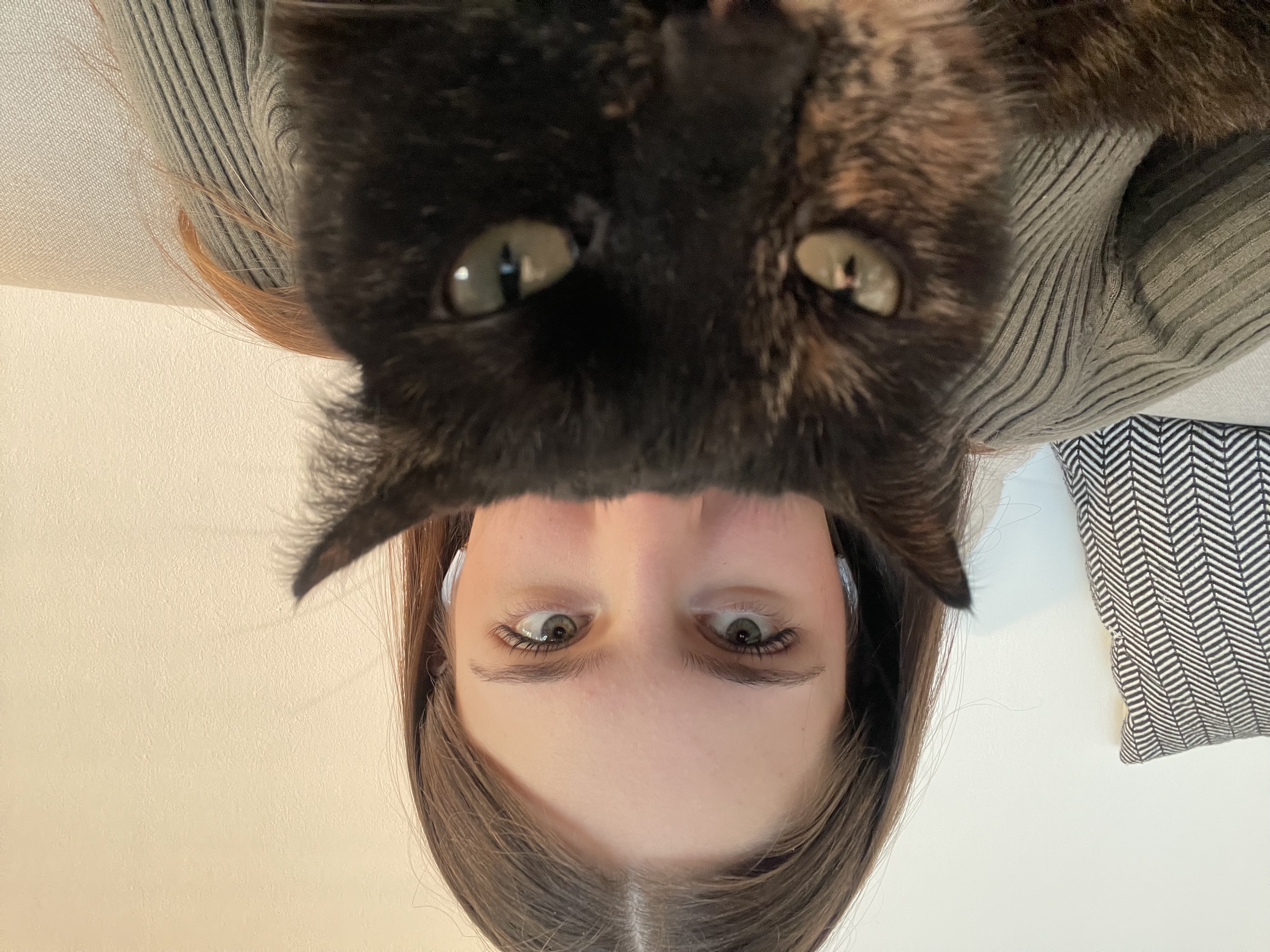 image-5
