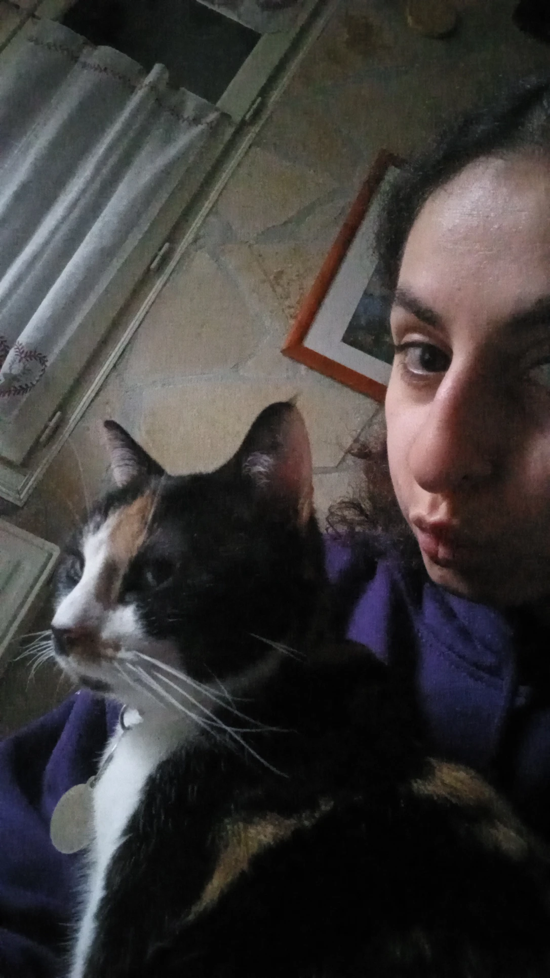 image-7