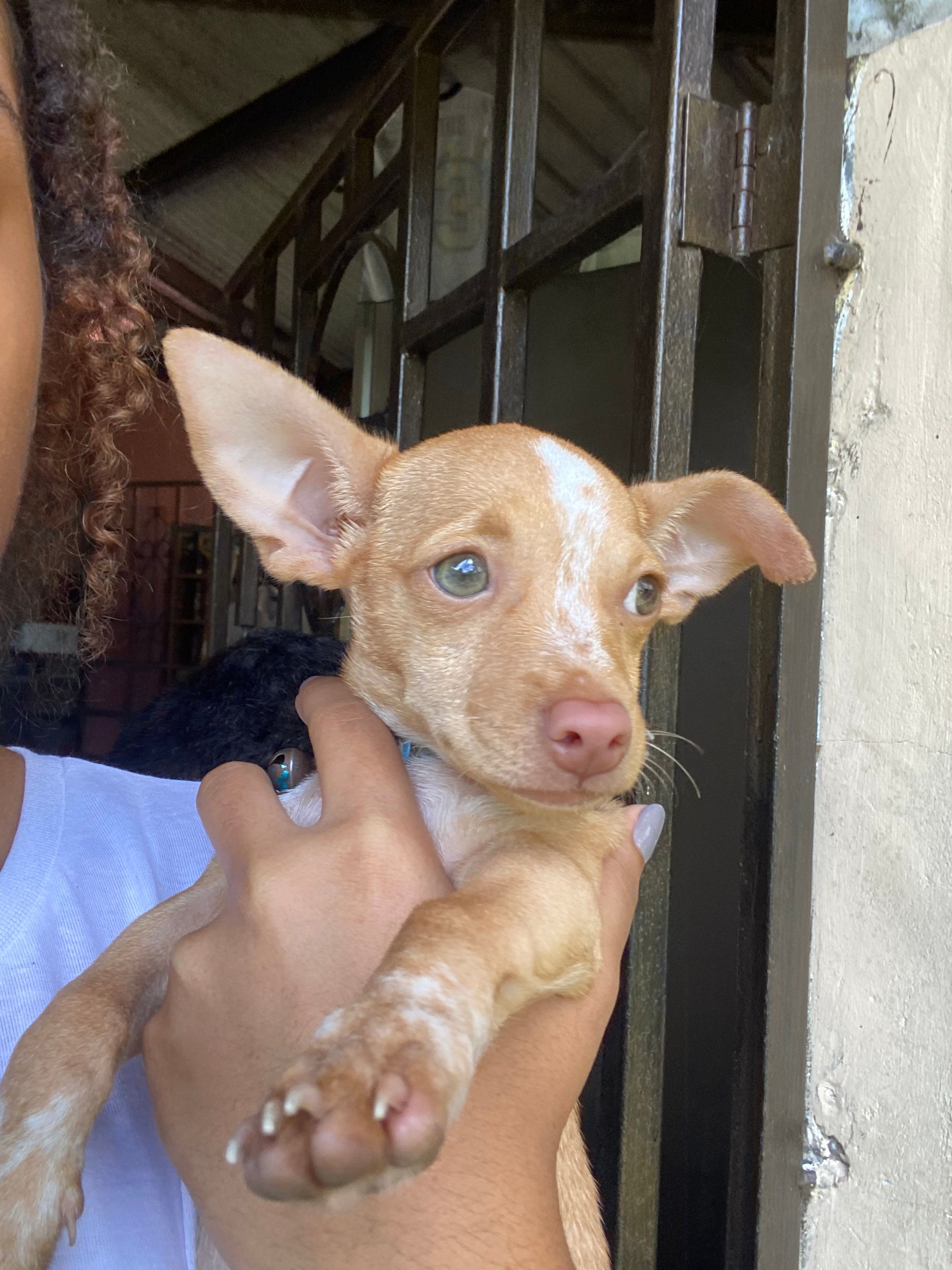 image-8