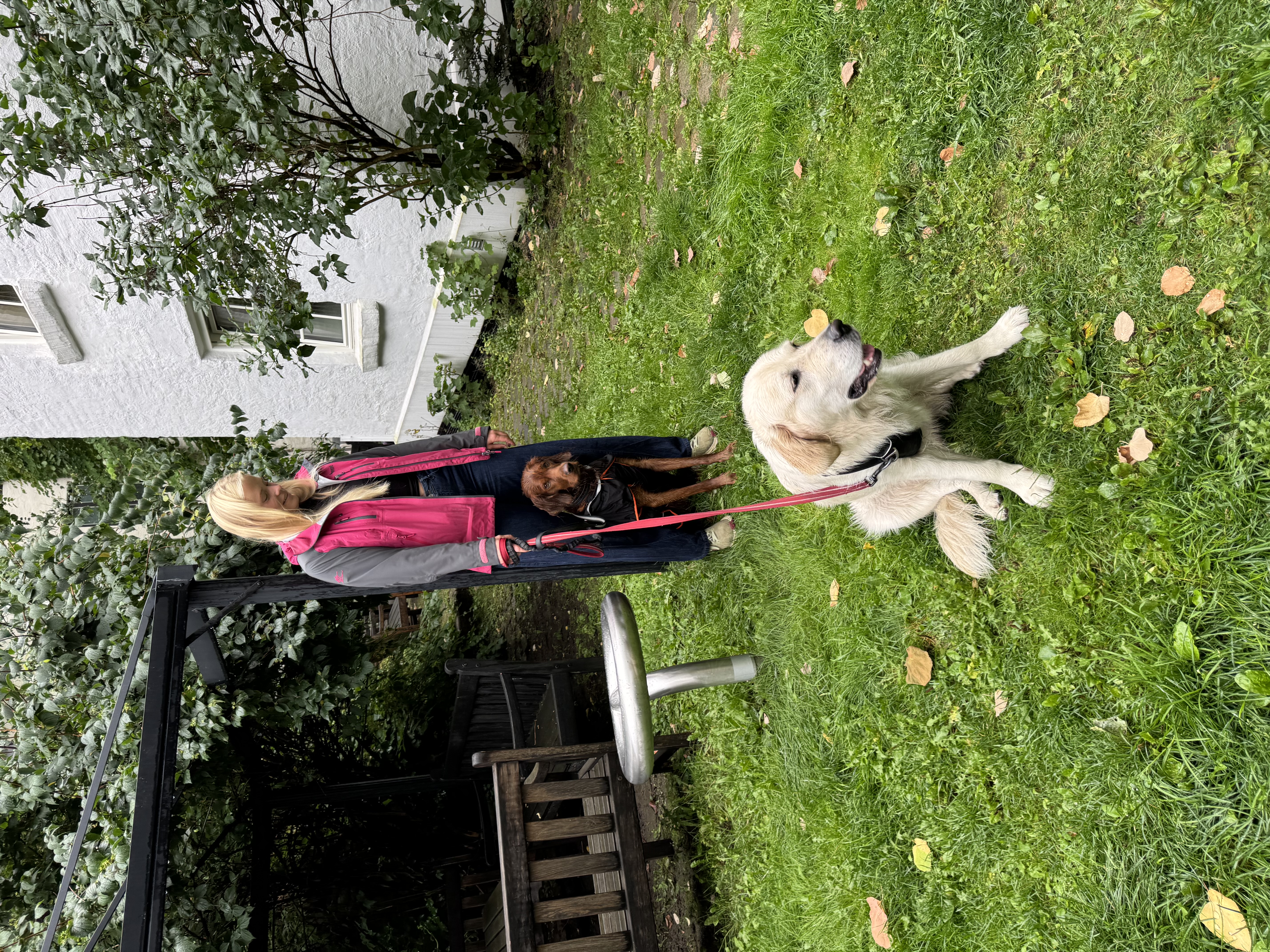 image-15