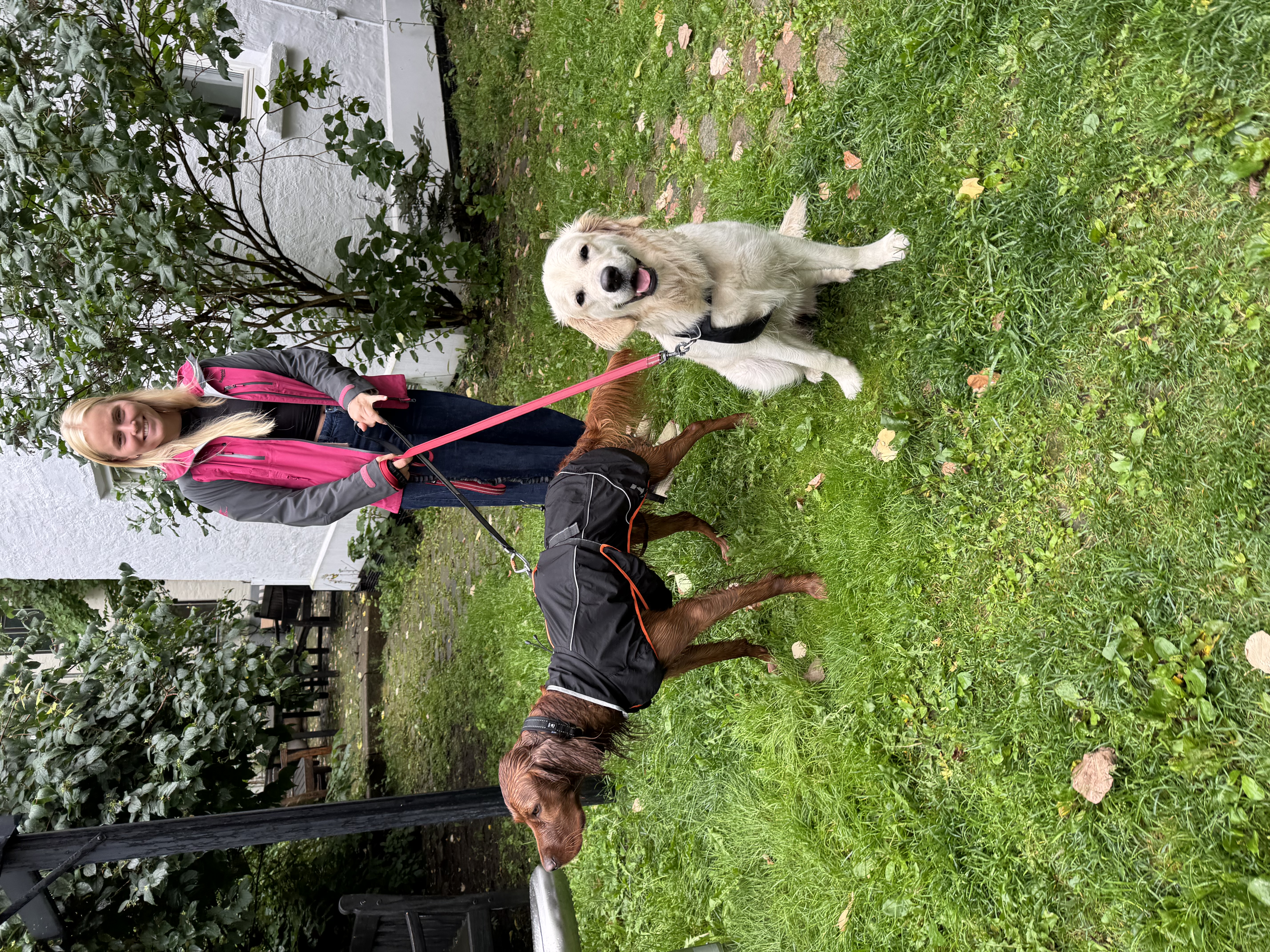 image-17