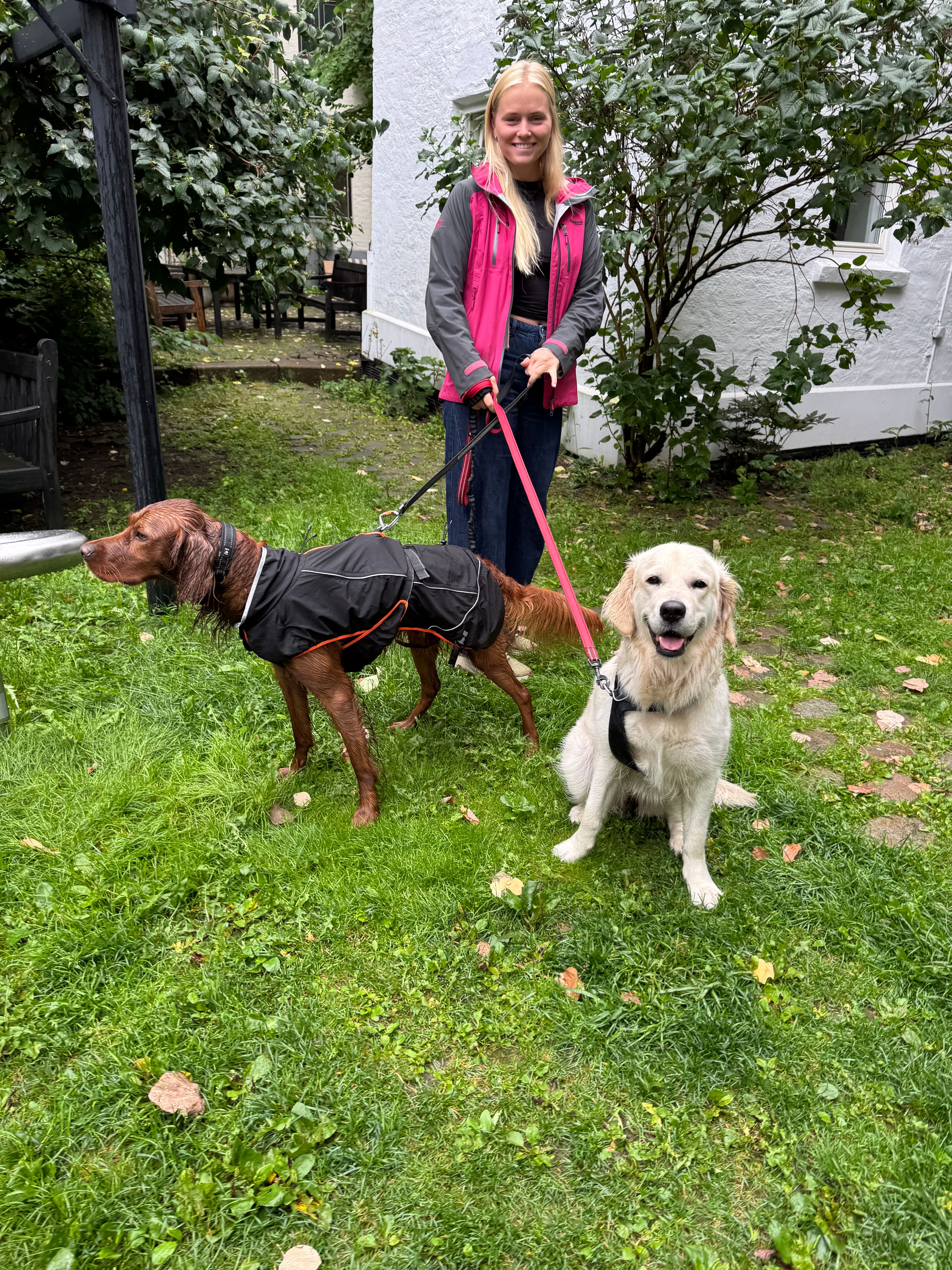 image-17