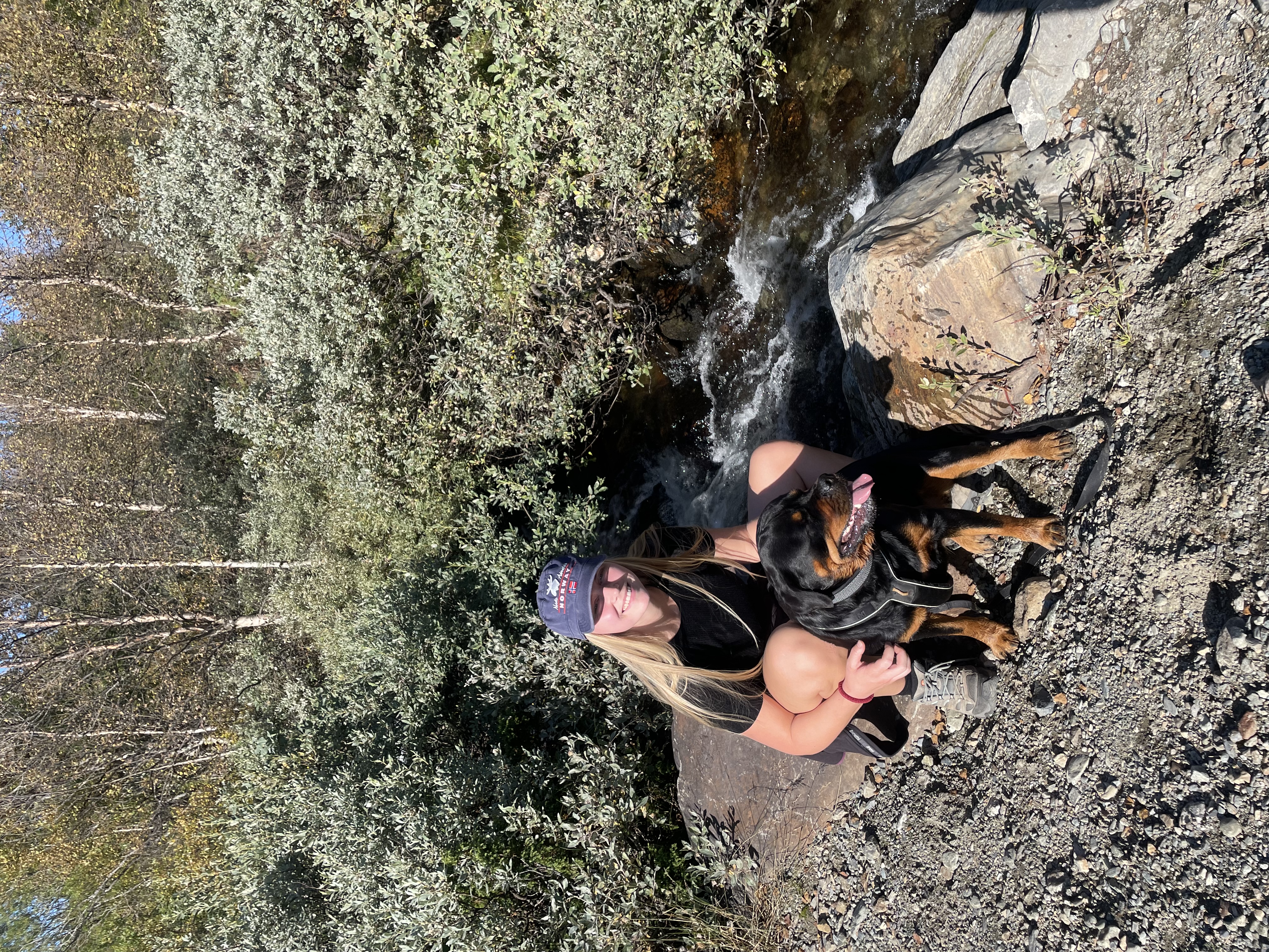 image-11