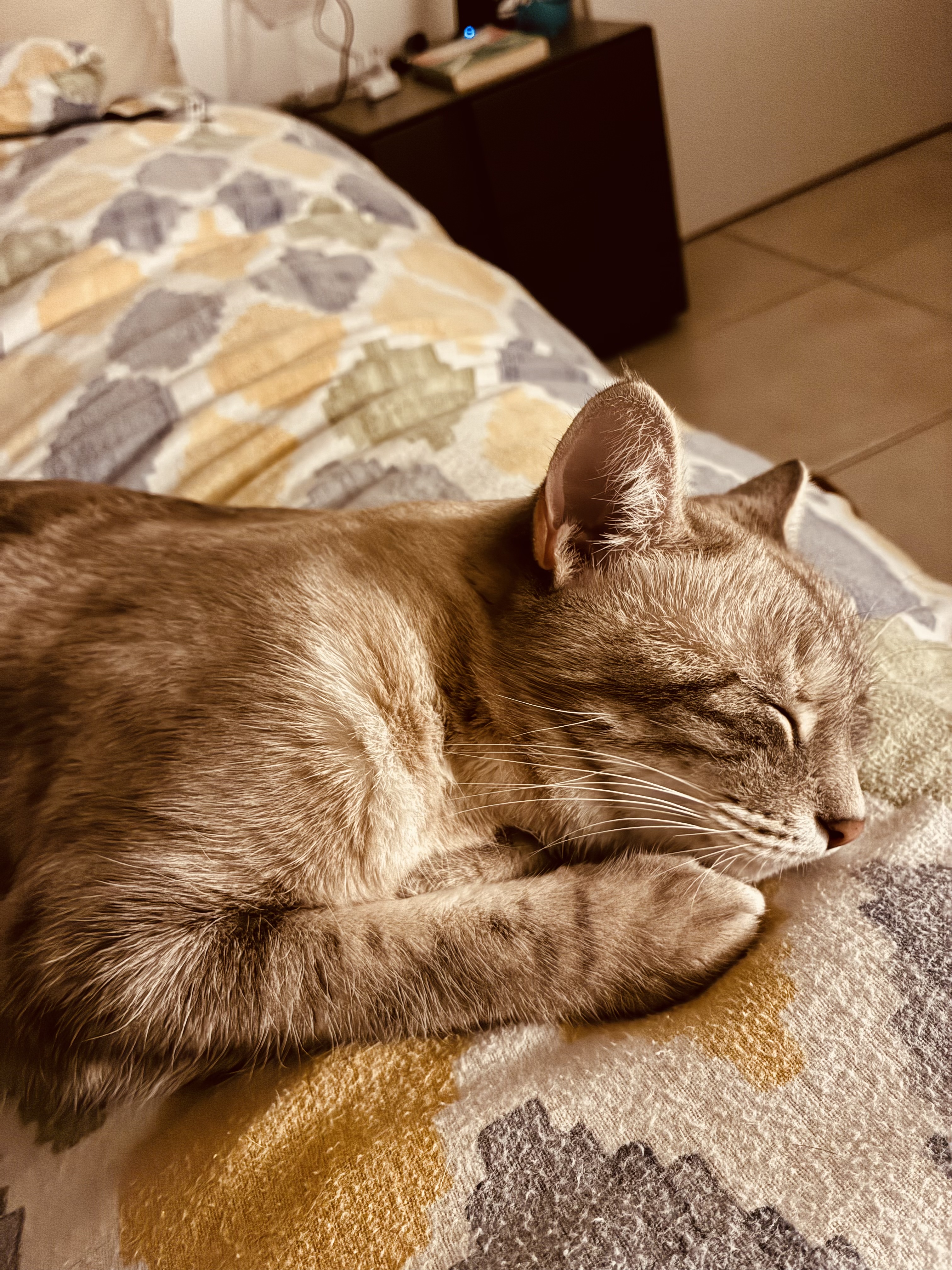 image-6