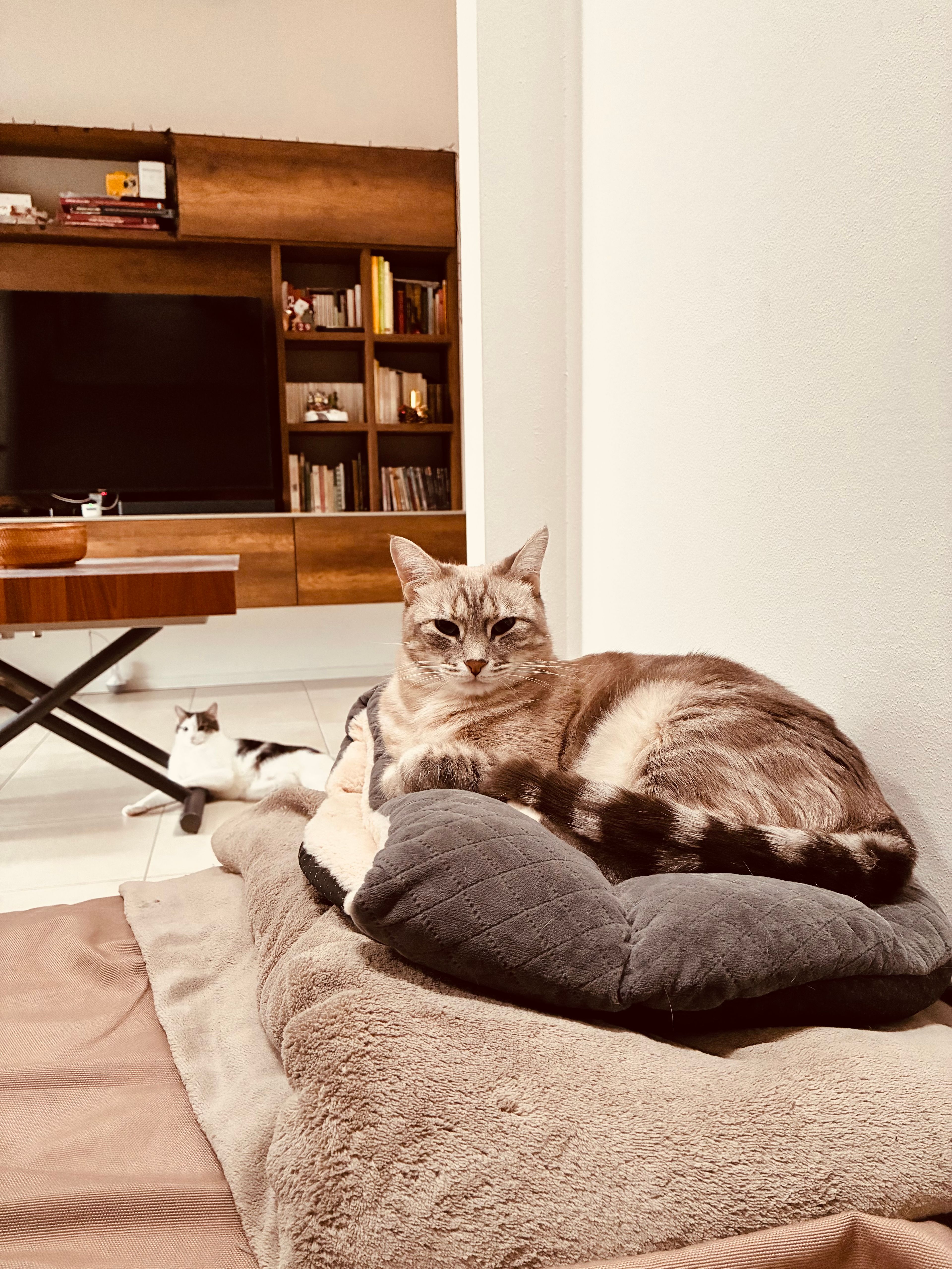 image-11