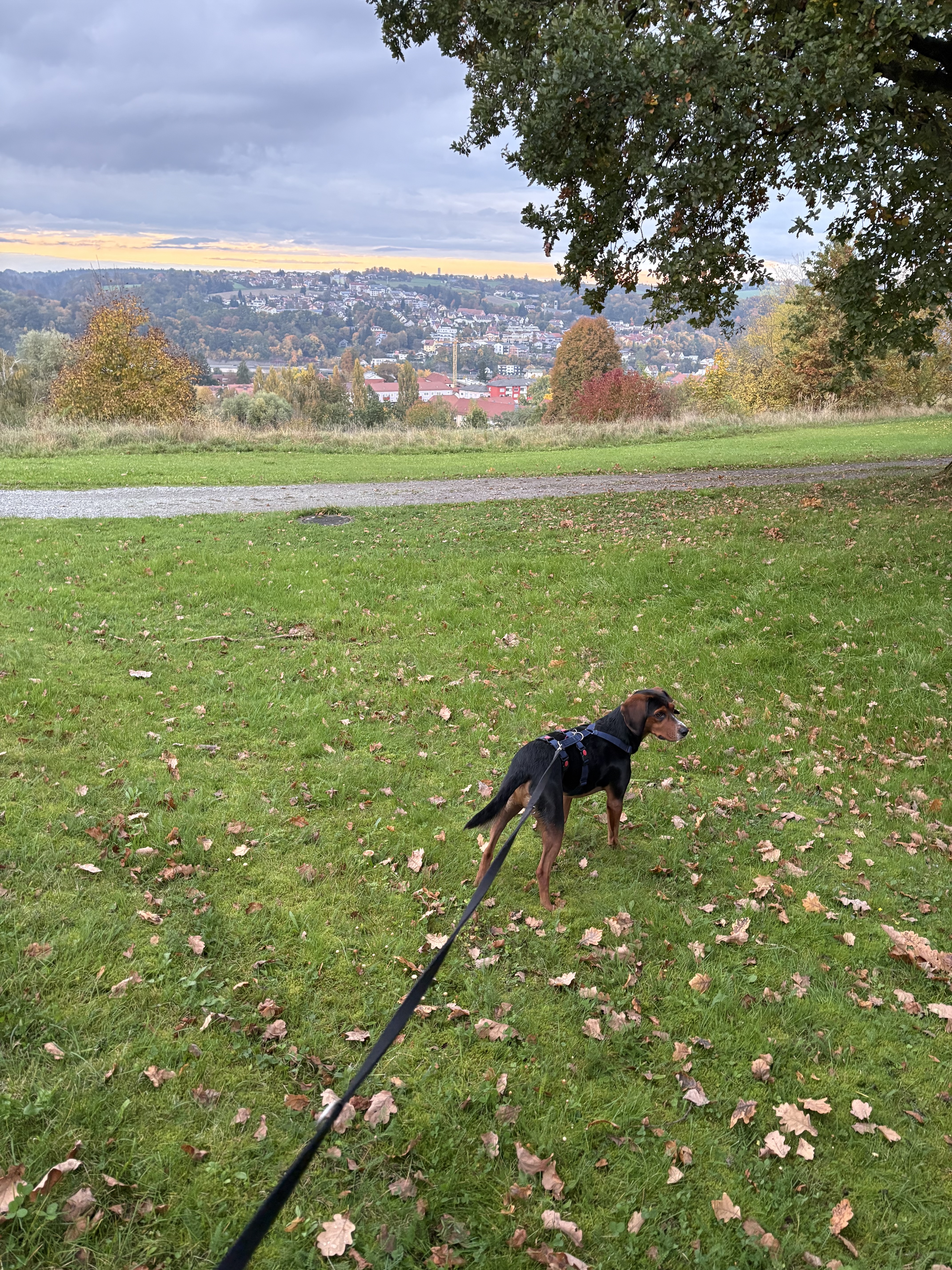 image-15