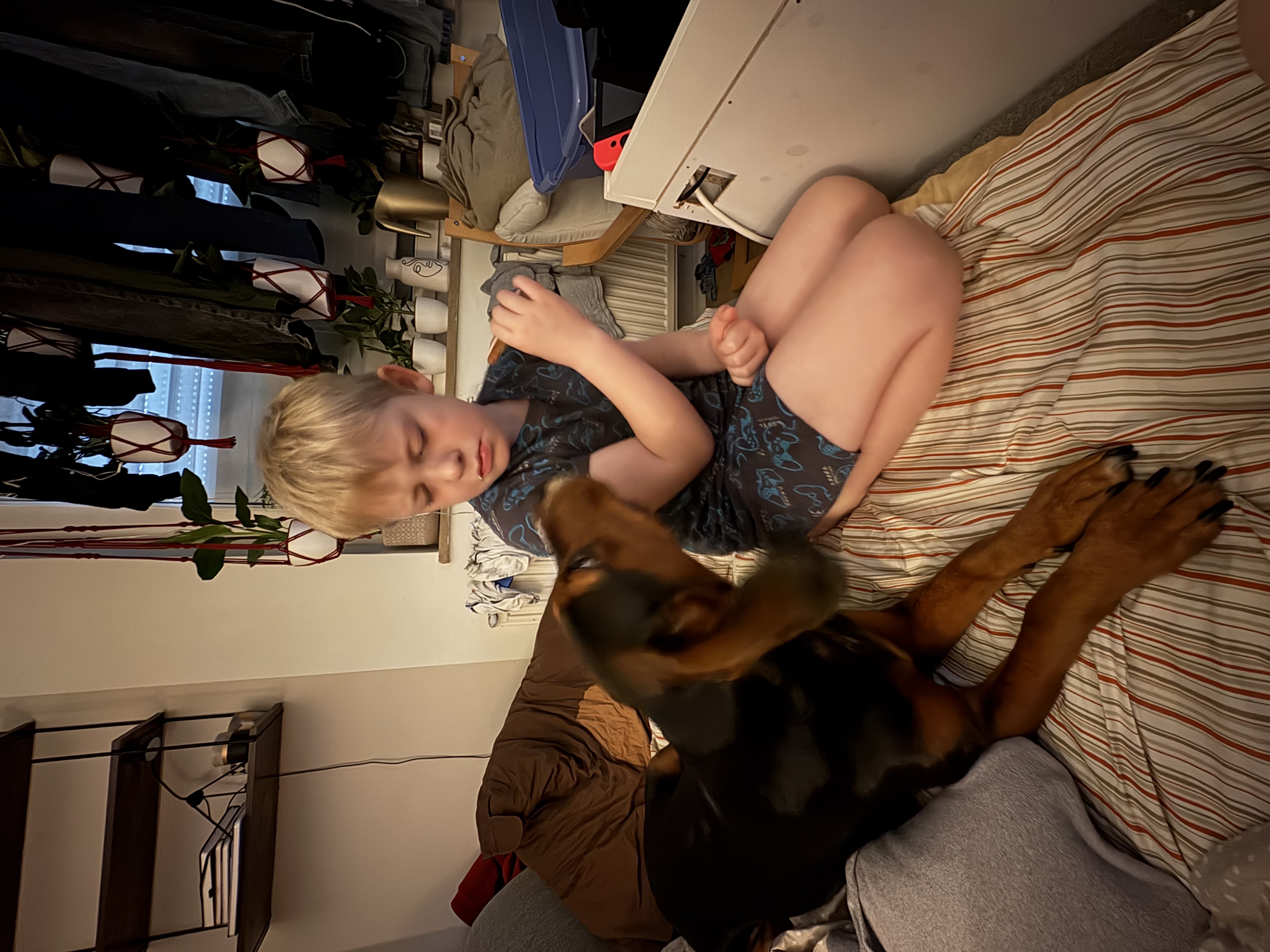 image-11