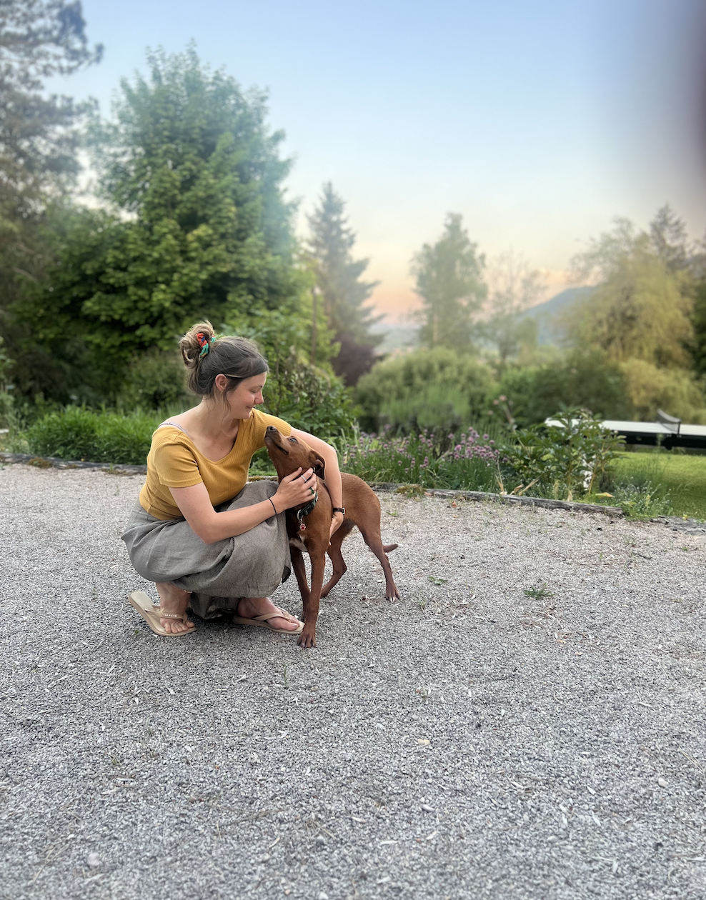 image-5