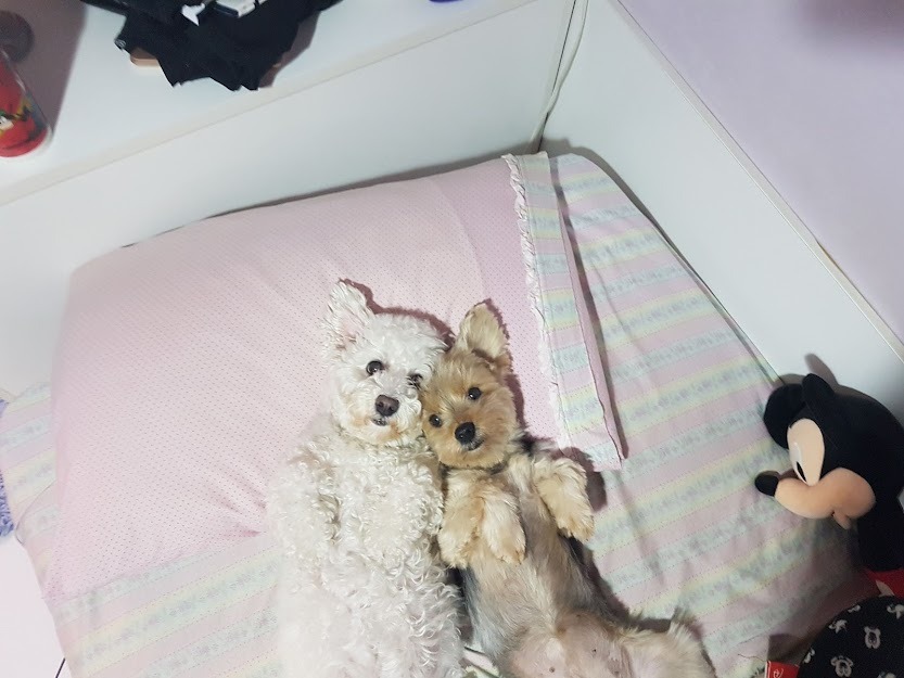image-10