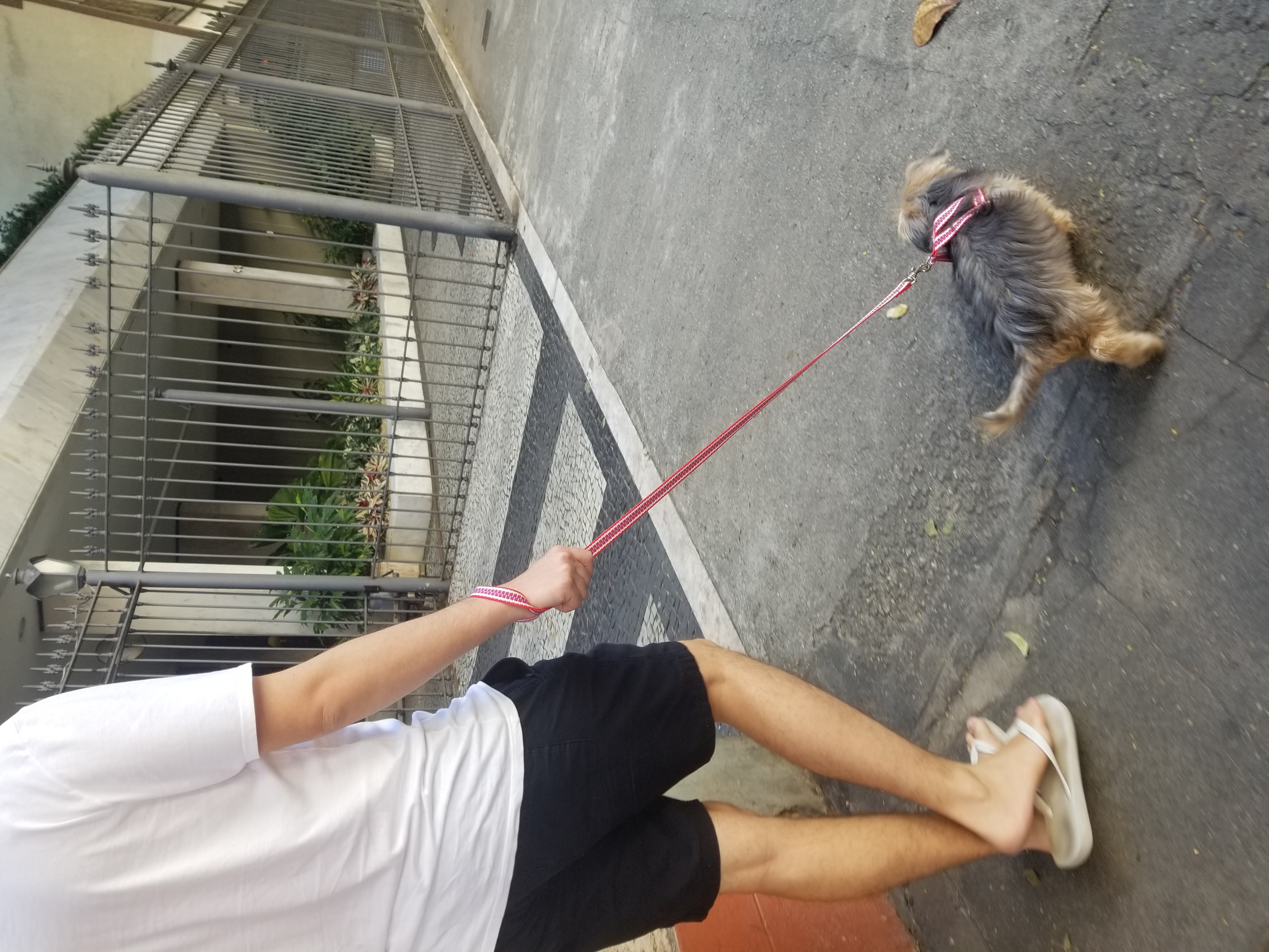 image-6