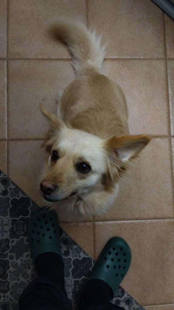 Maggie