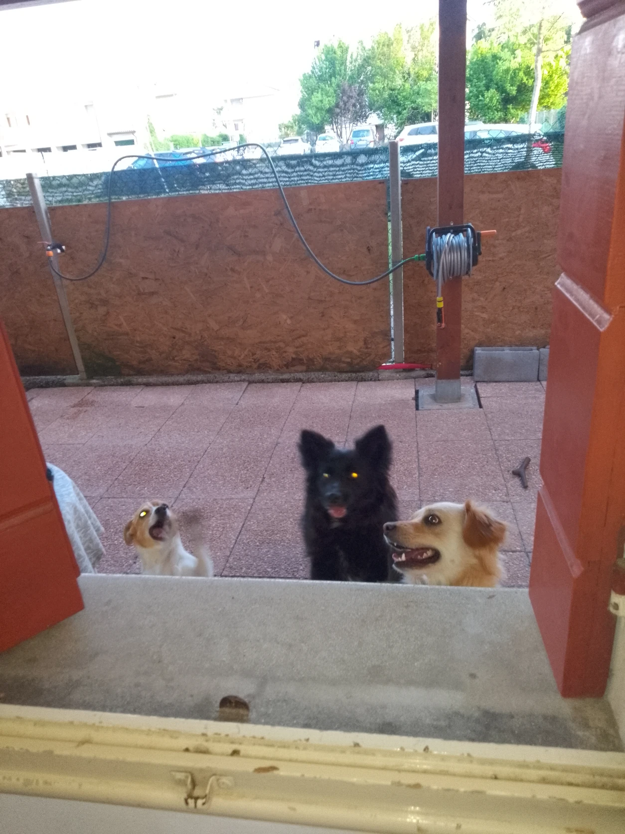 image-12