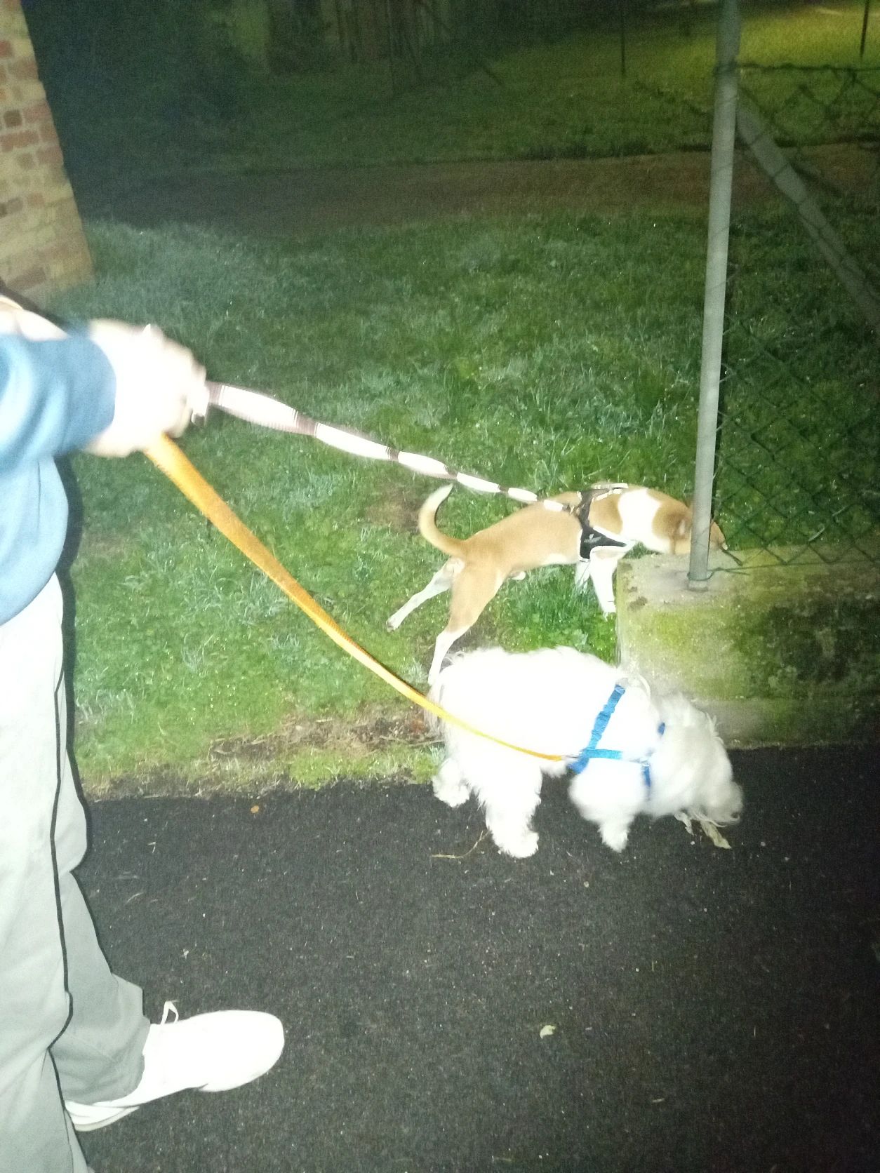 image-18