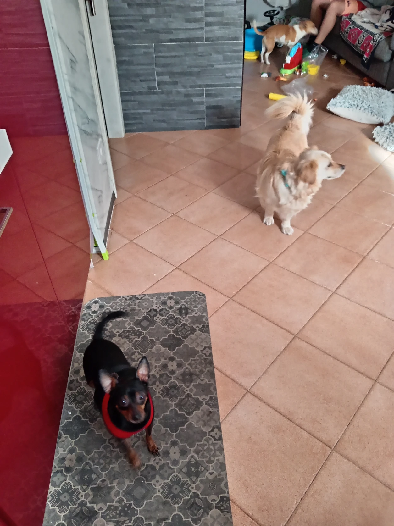 image-31