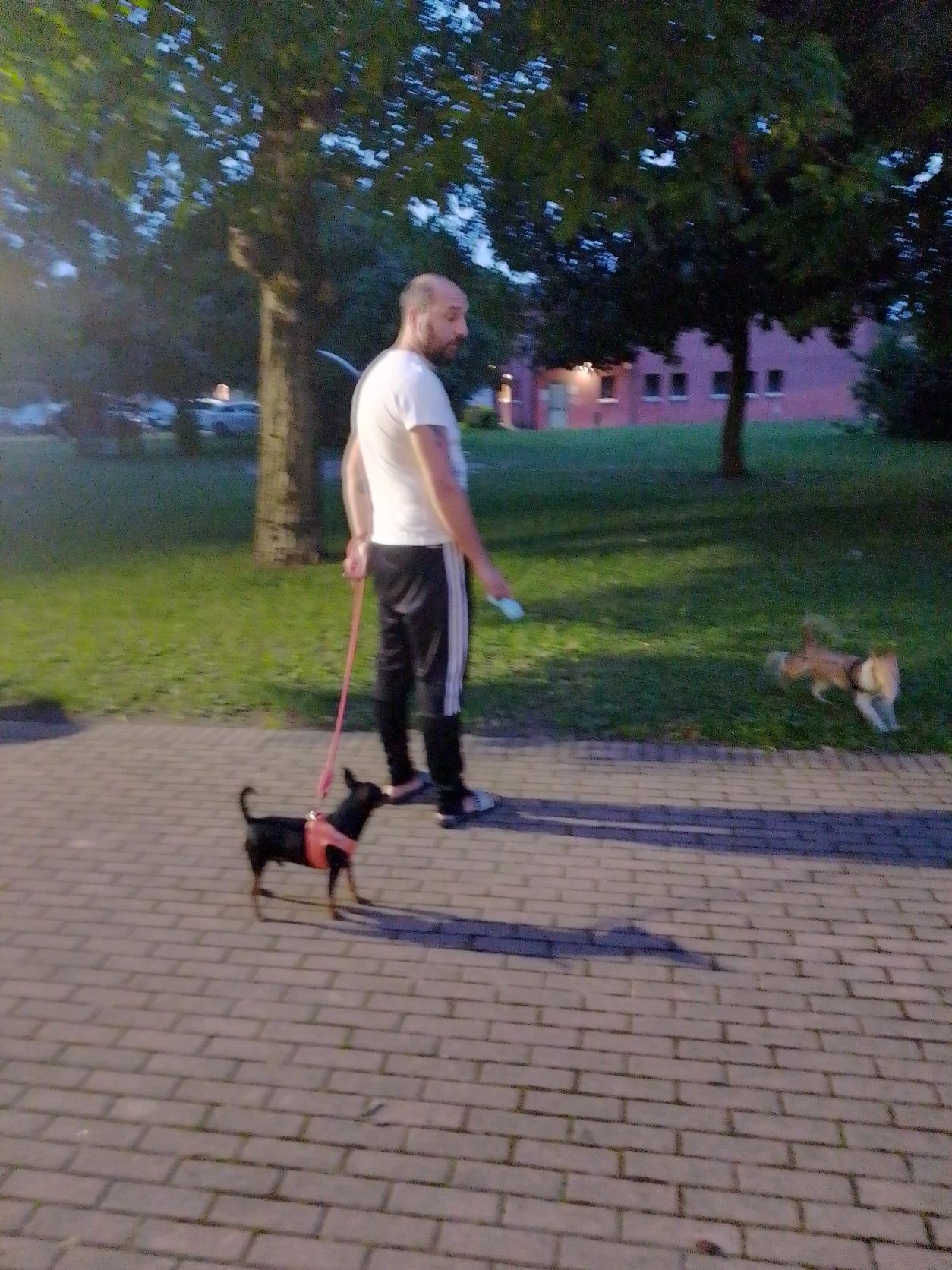 image-29