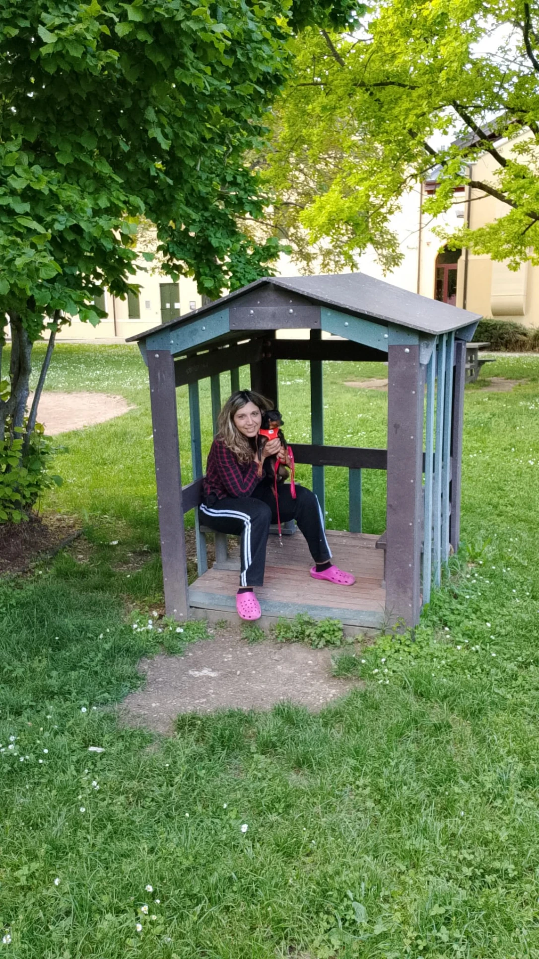 image-4