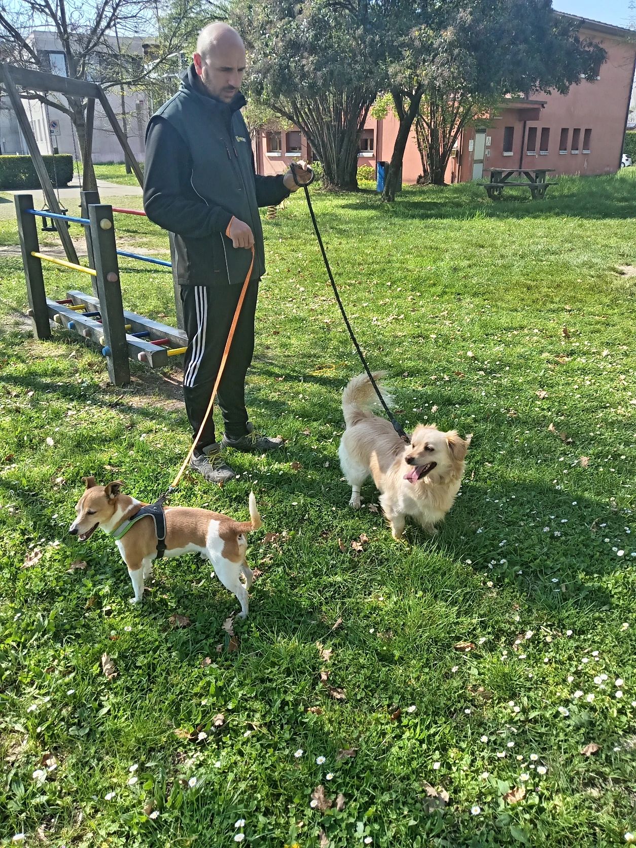 image-20