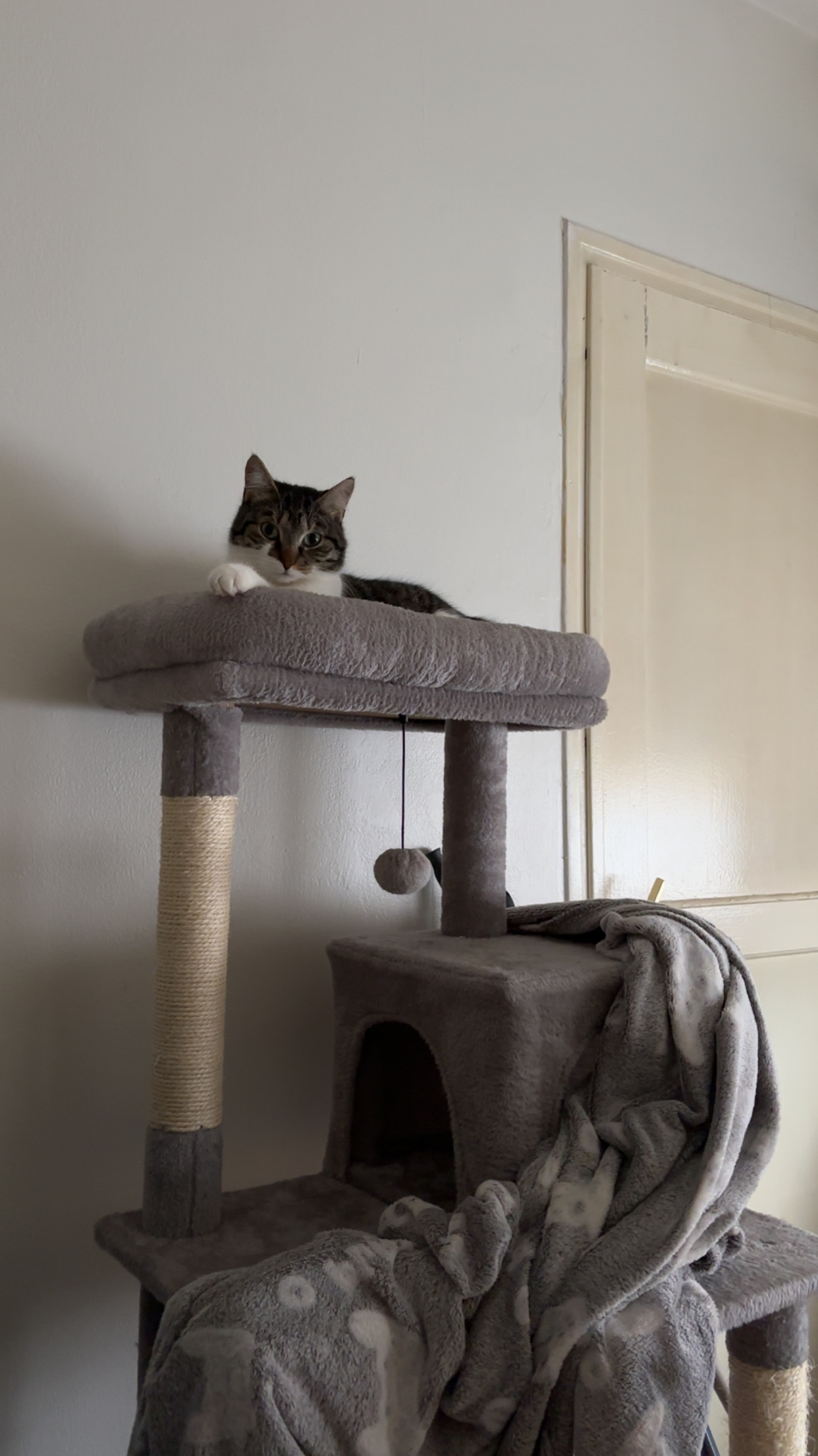 image-10