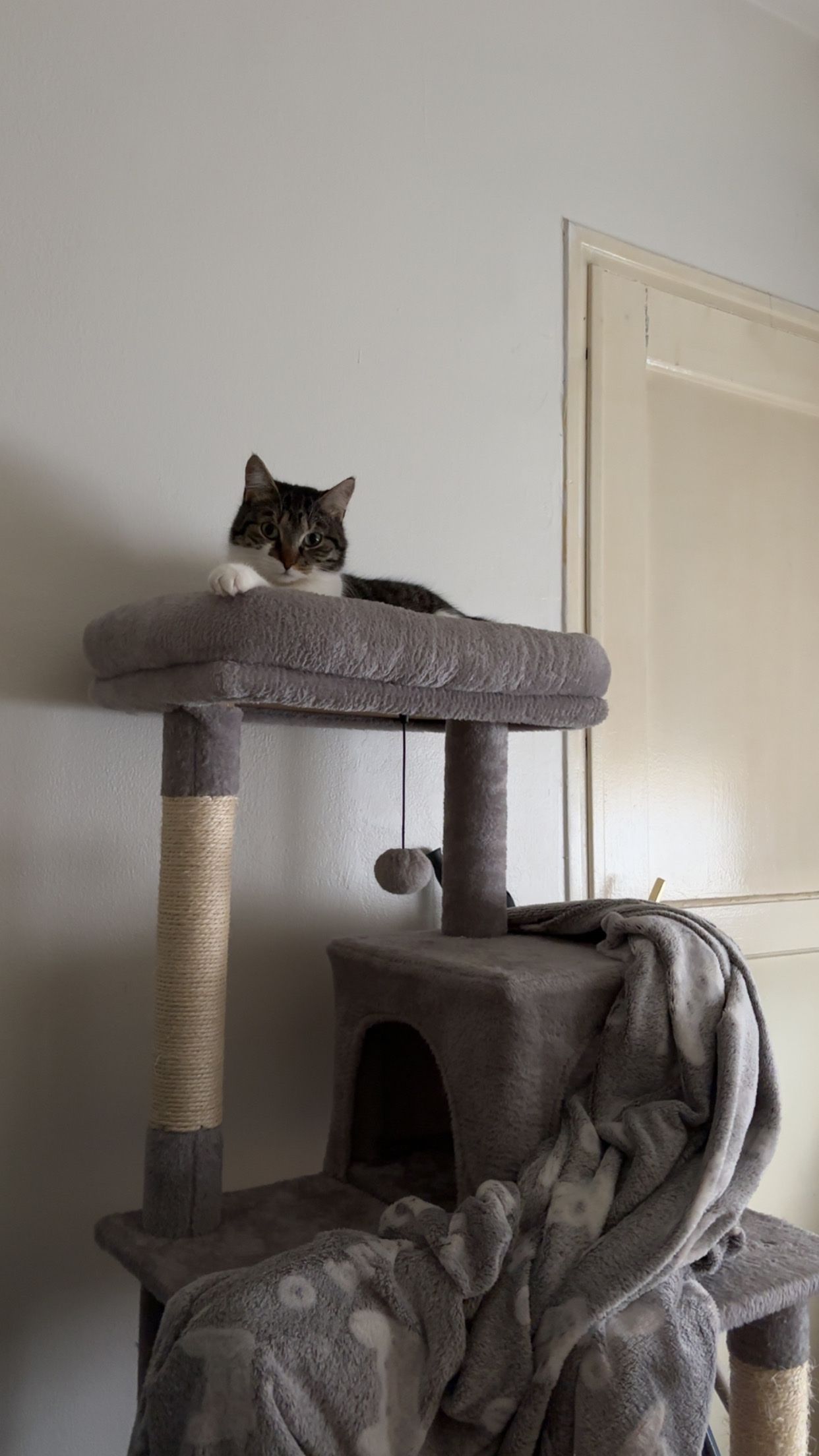 image-10
