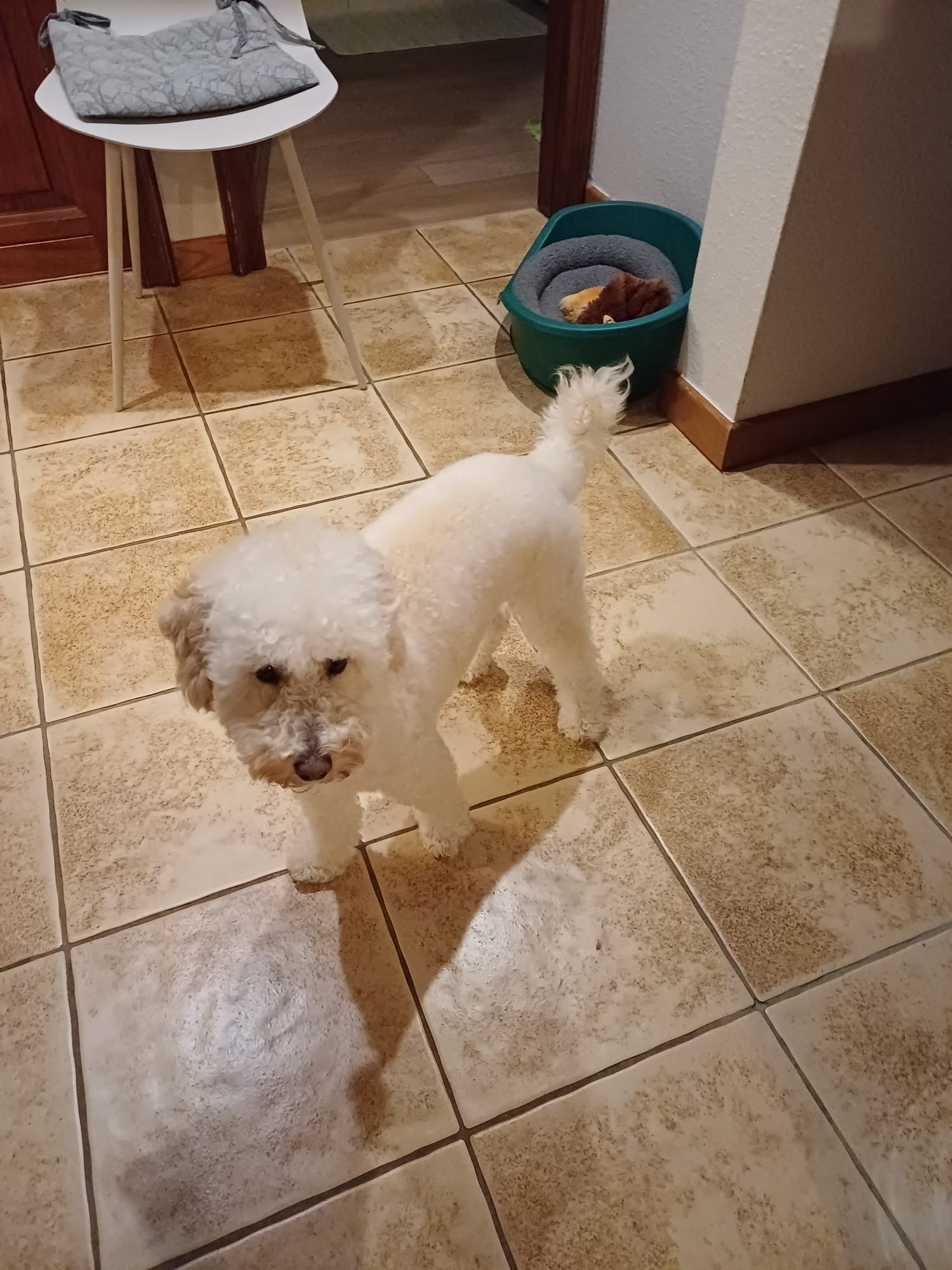 image-2