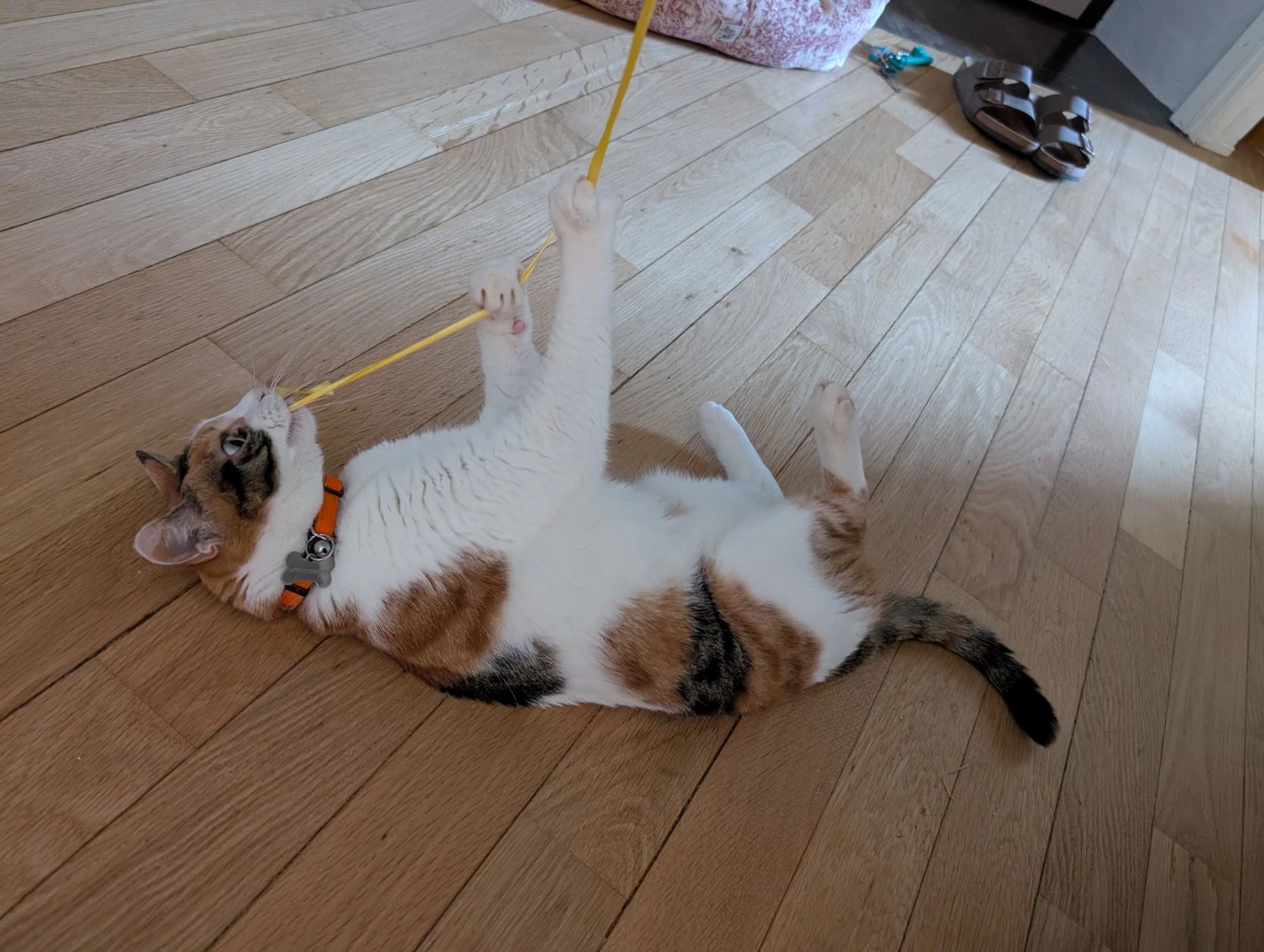 image-11