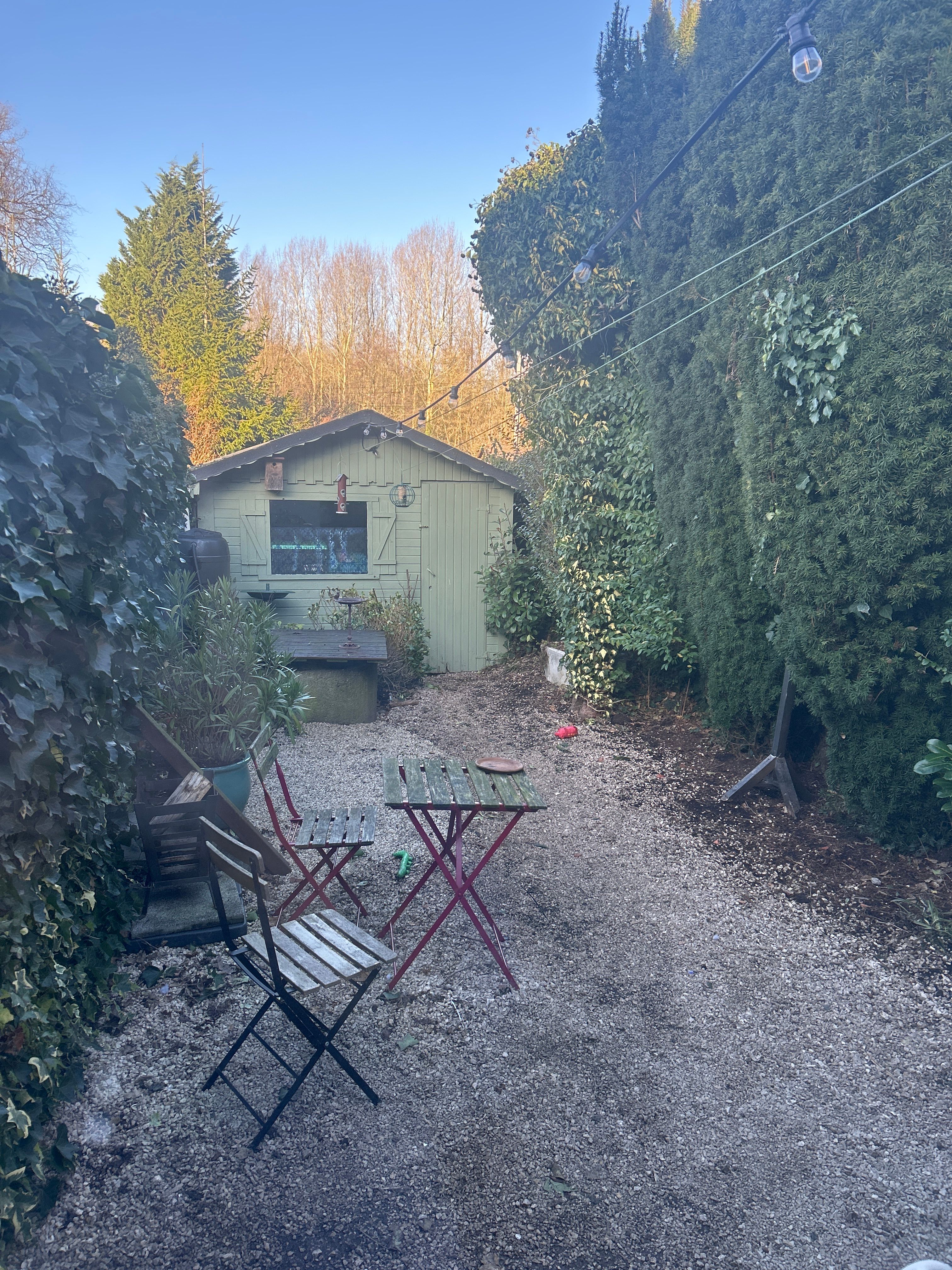 image-18