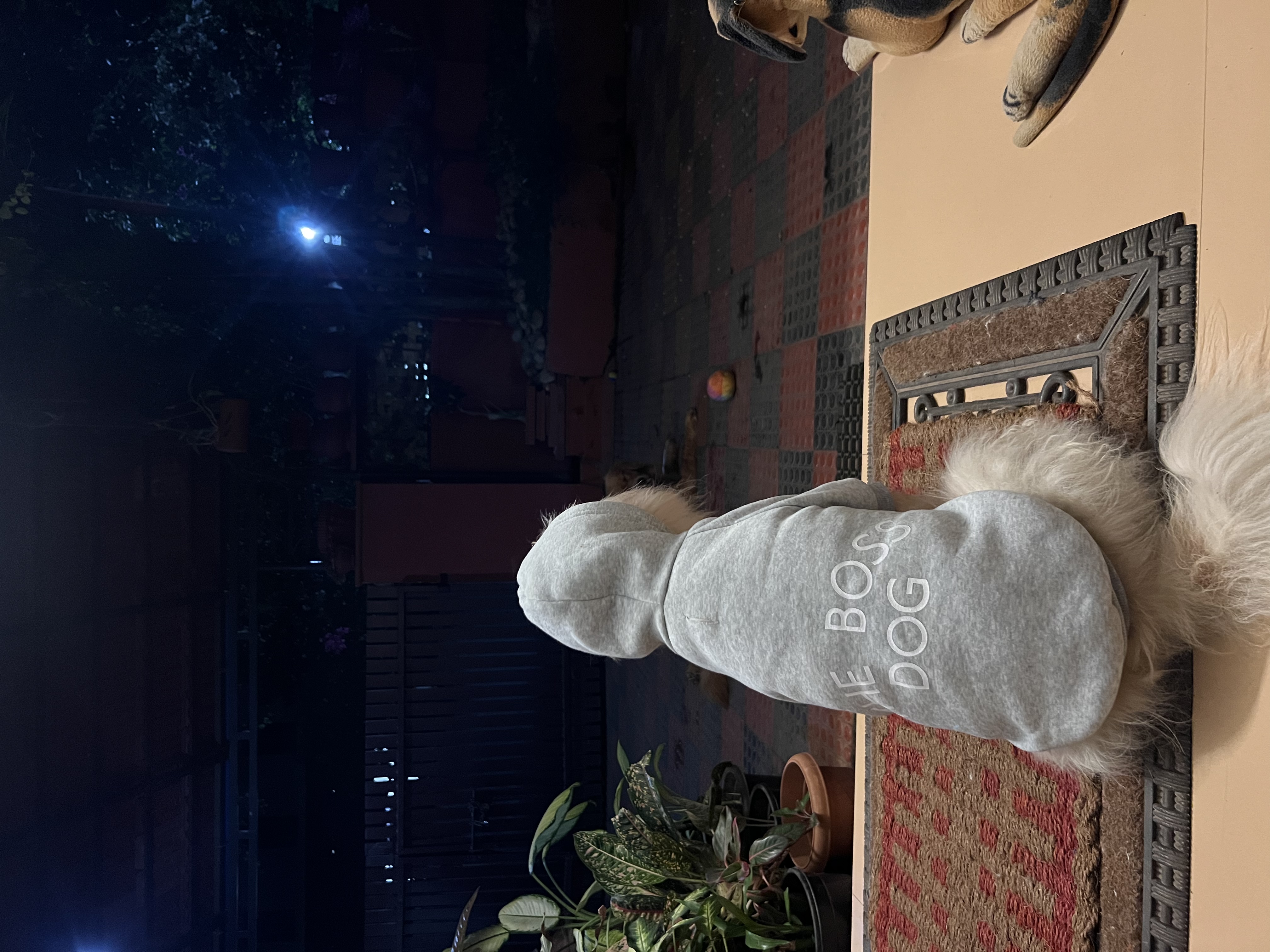 image-7