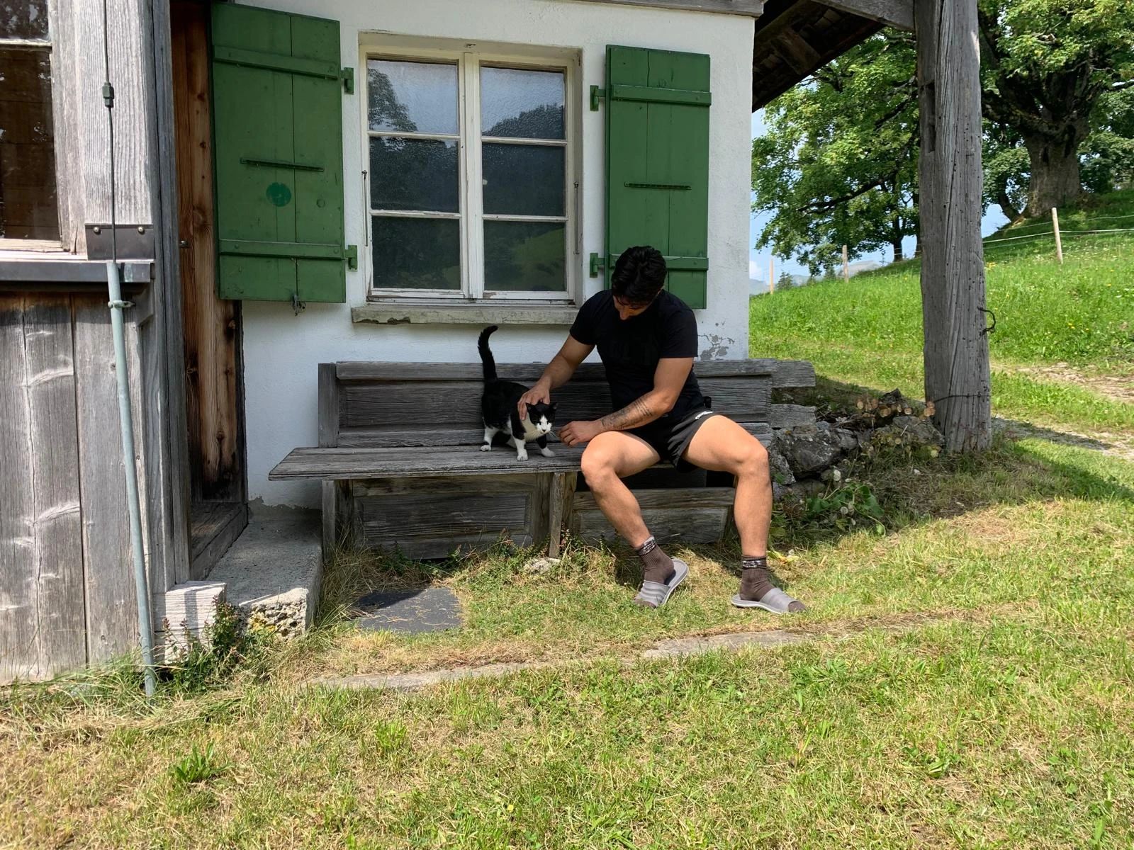 image-3