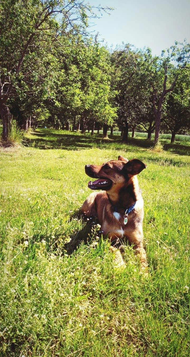 image-7