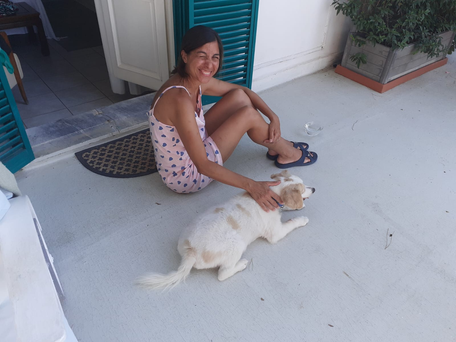 image-7