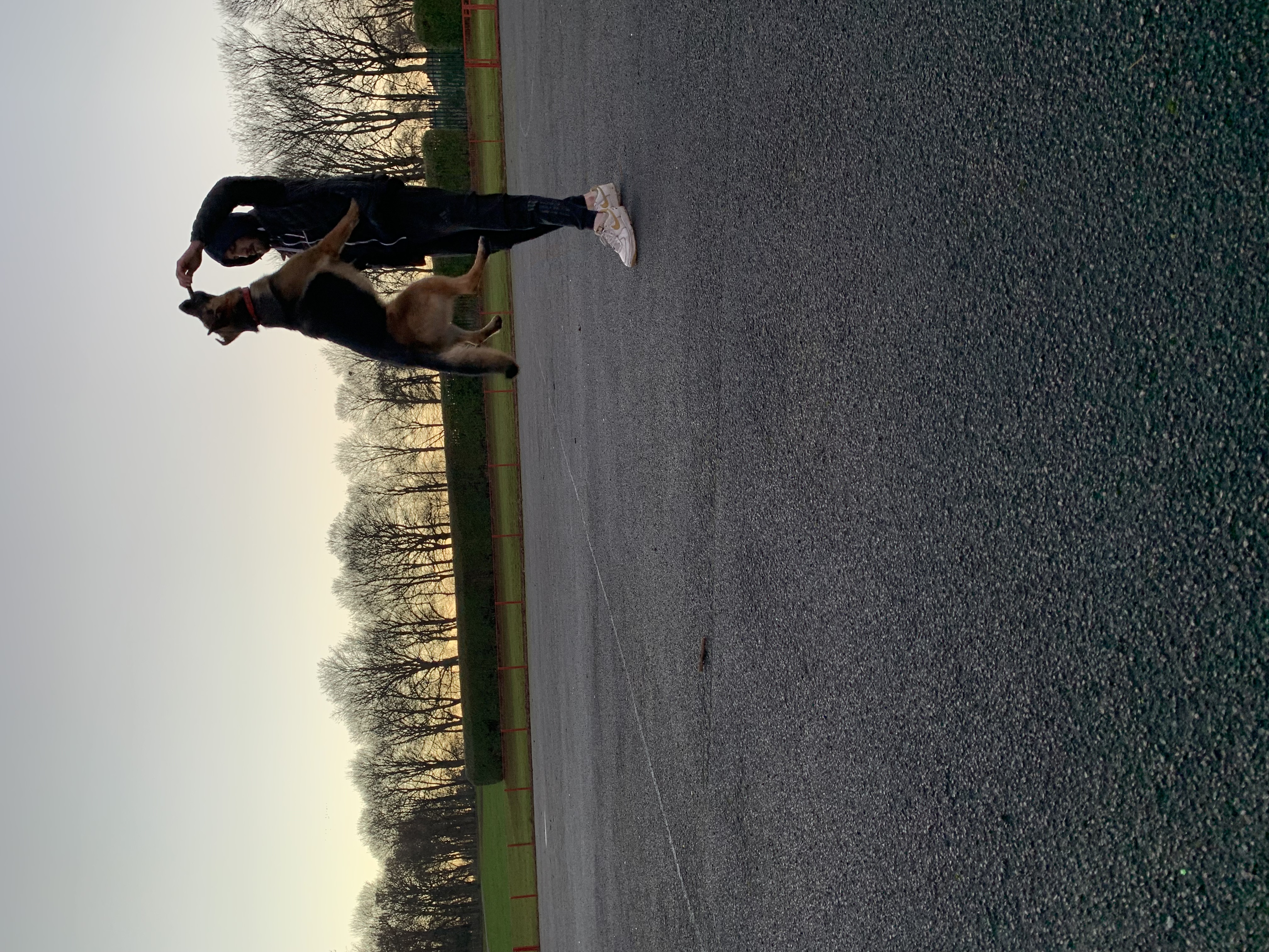 image-7