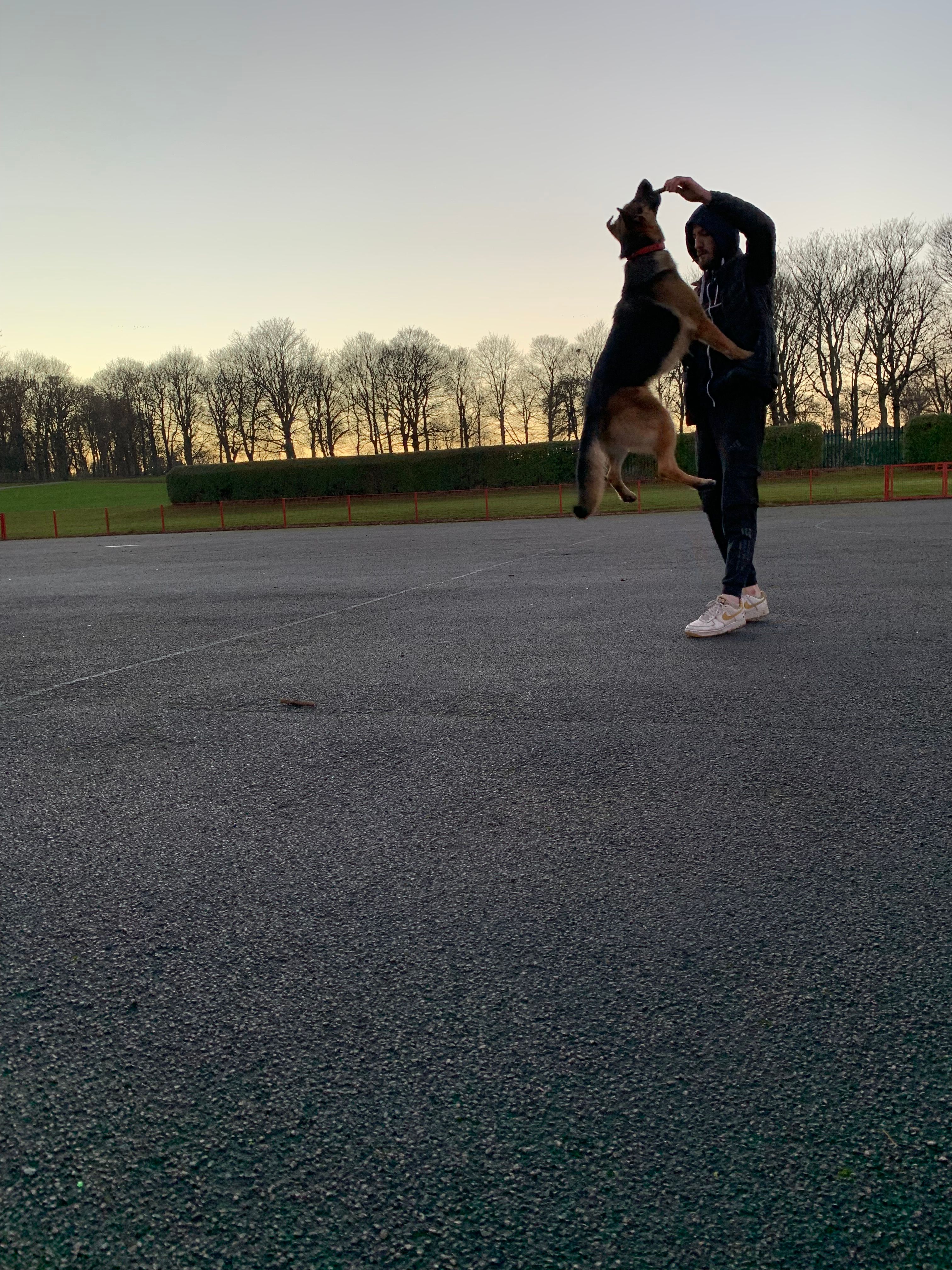 image-7