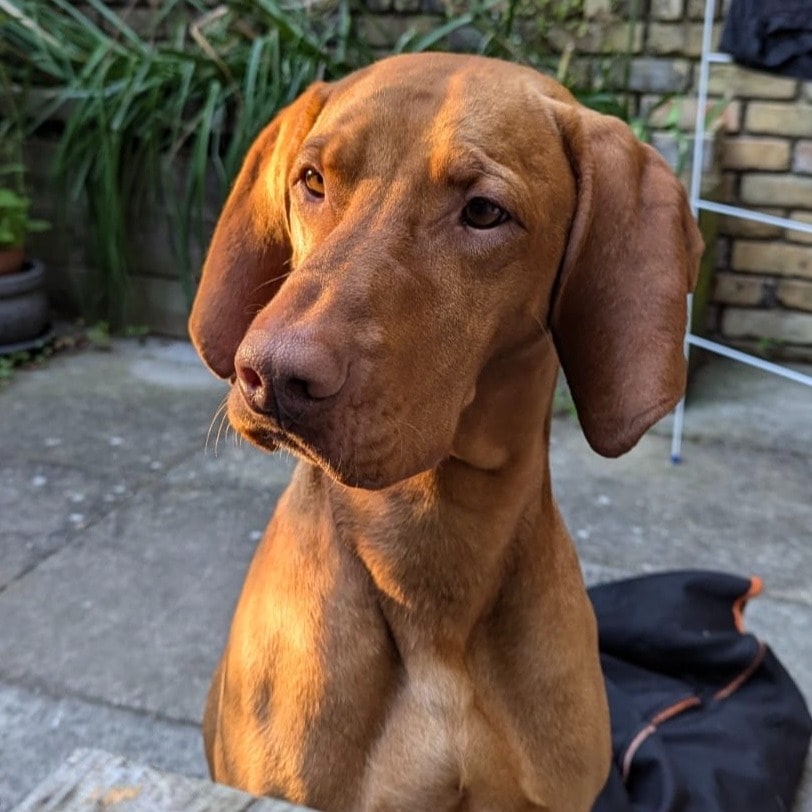 Matteo