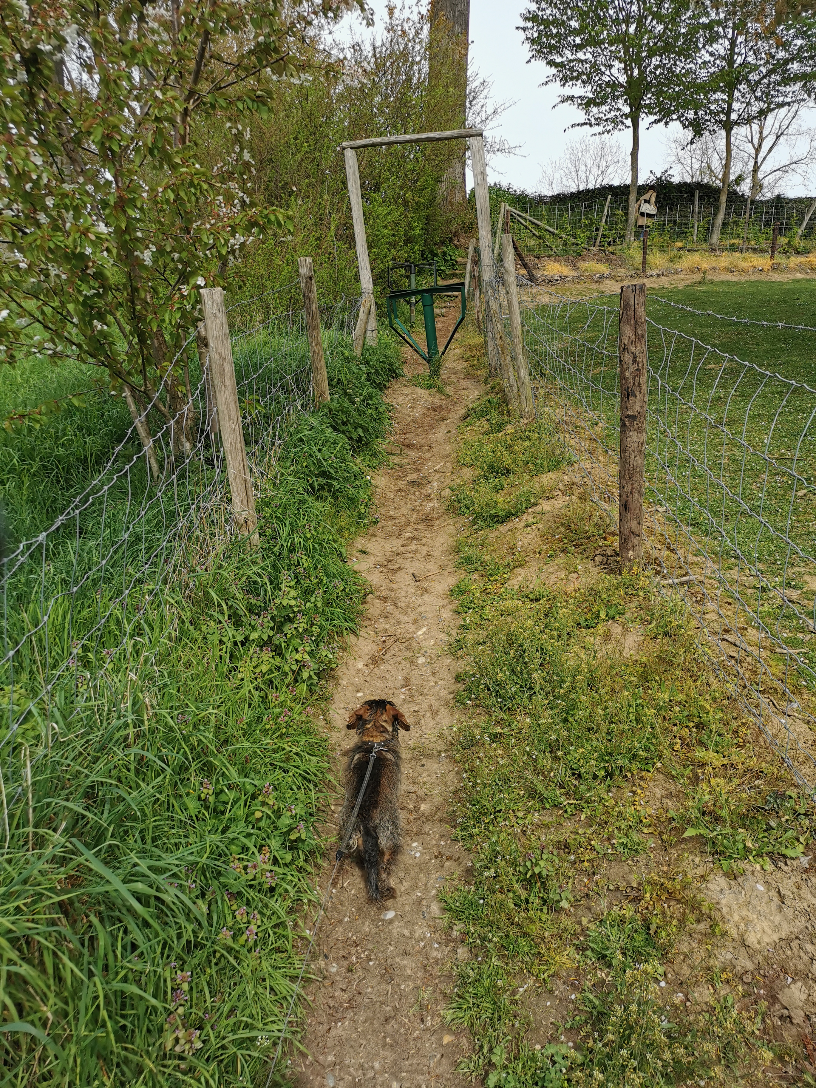 image-15