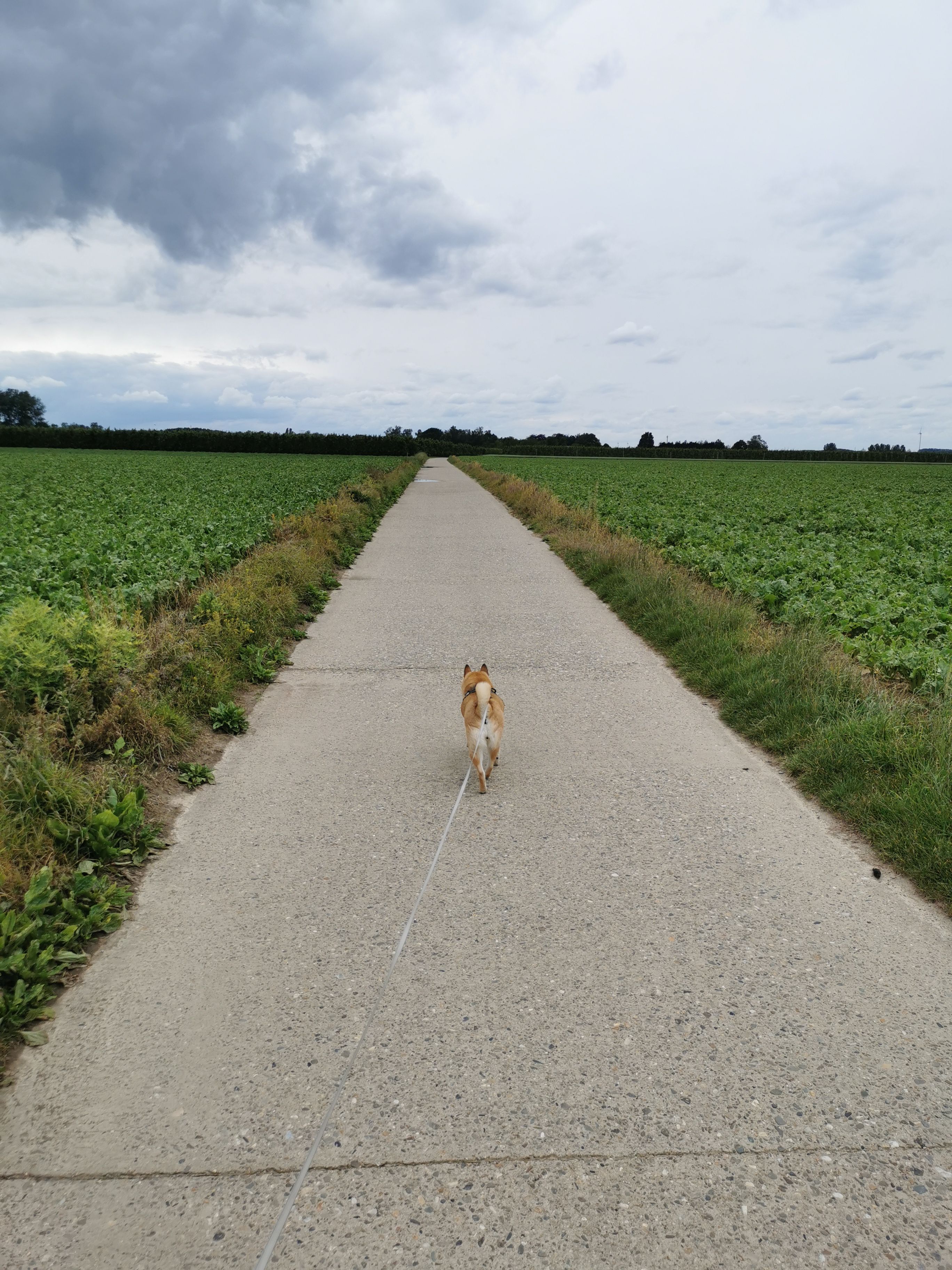 image-21