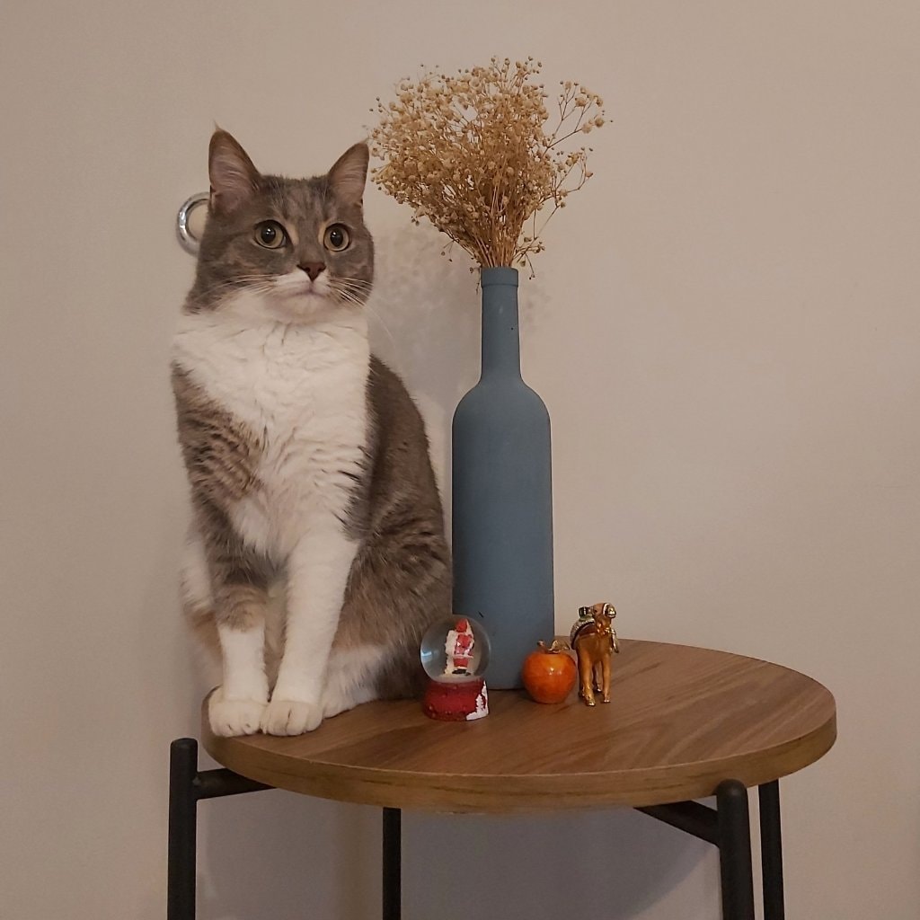 Satı Carla