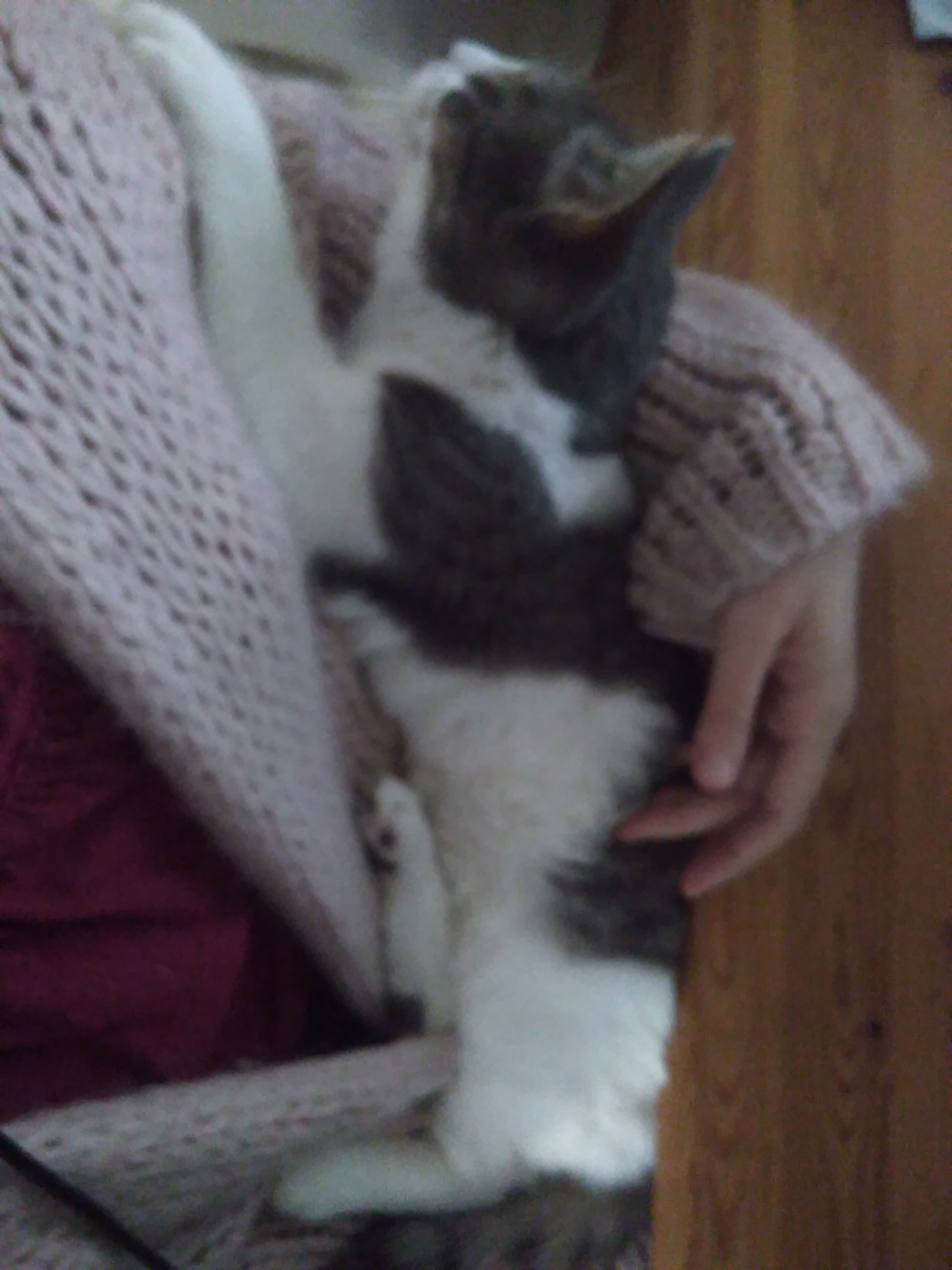 image-7