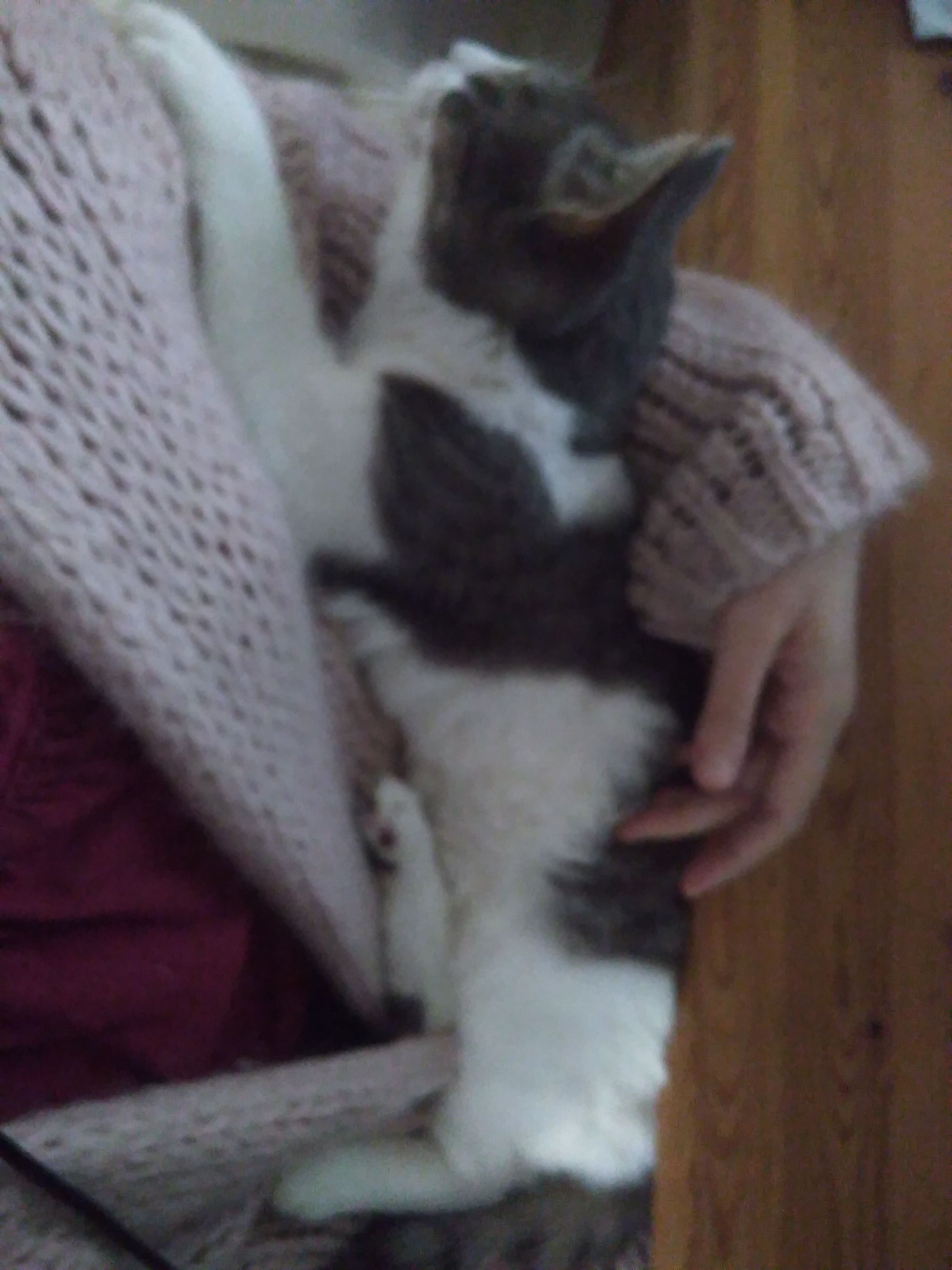 image-7